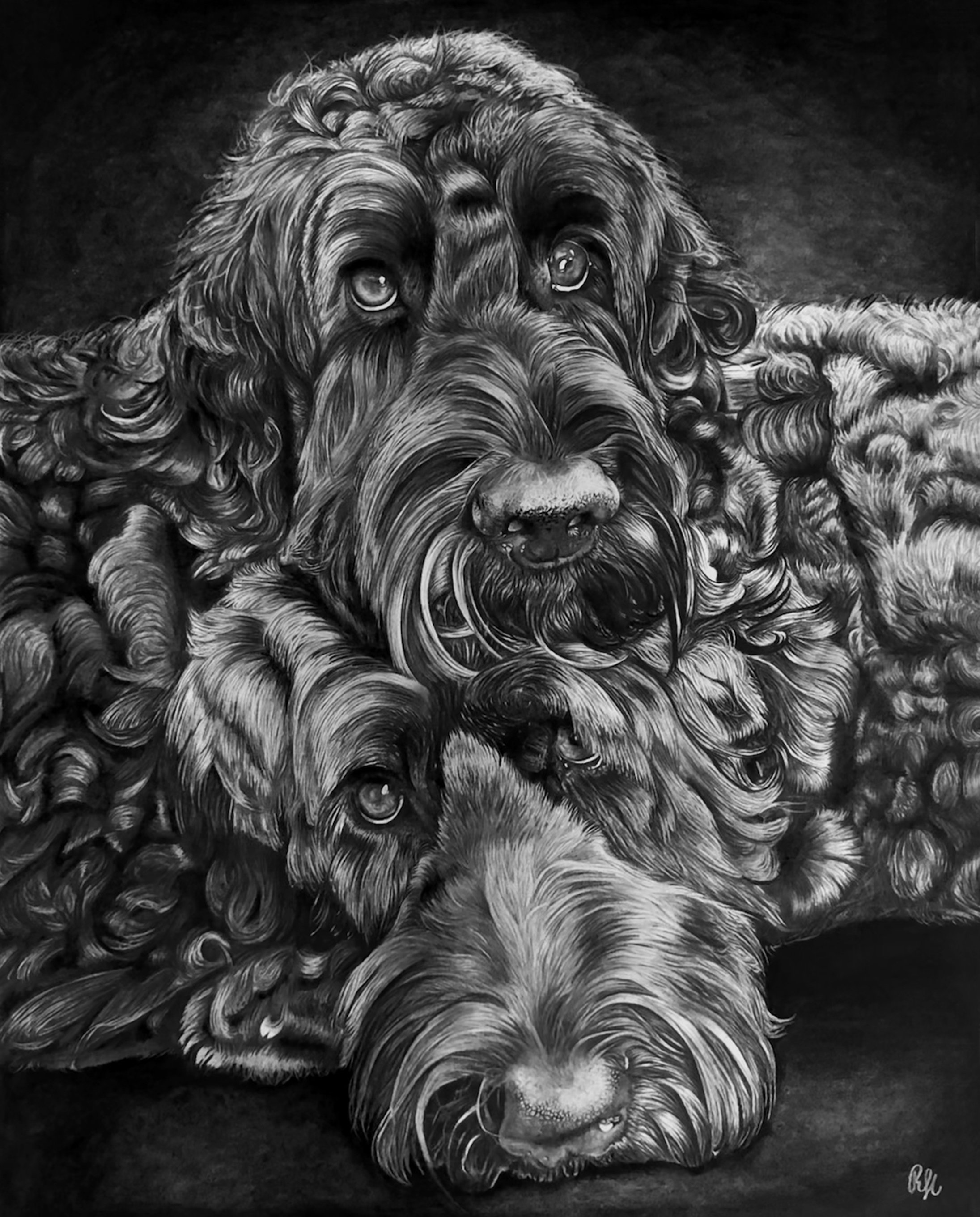 16" x 20" Graphite and Charcoal on Heat Pressed Watercolor Paper. Sold