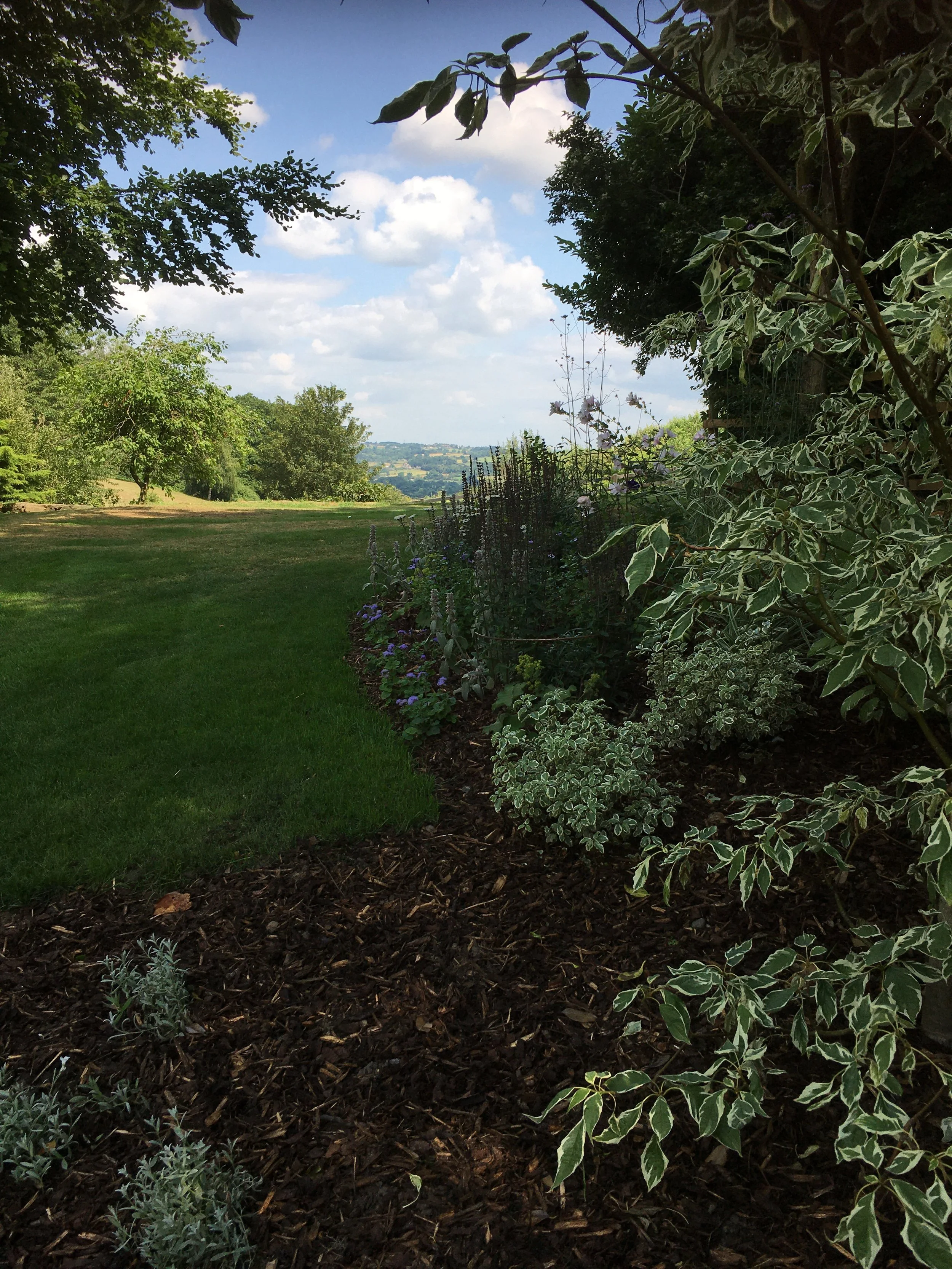 A beautifully designed garden with lush greenery, vibrant flowers, and a serene seating area. Thoughtfully landscaped with a mix of seasonal plants, textured foliage, and natural stone pathways, creating a tranquil outdoor retreat.