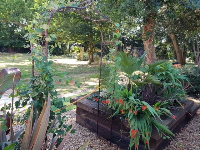 A beautifully designed garden with lush greenery, vibrant flowers, and a serene seating area. Thoughtfully landscaped with a mix of seasonal plants, textured foliage, and natural stone pathways, creating a tranquil outdoor retreat.