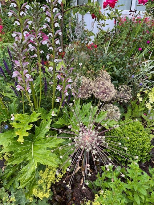 A beautifully designed garden with lush greenery, vibrant flowers, and a serene seating area. Thoughtfully landscaped with a mix of seasonal plants, textured foliage, and natural stone pathways, creating a tranquil outdoor retreat.