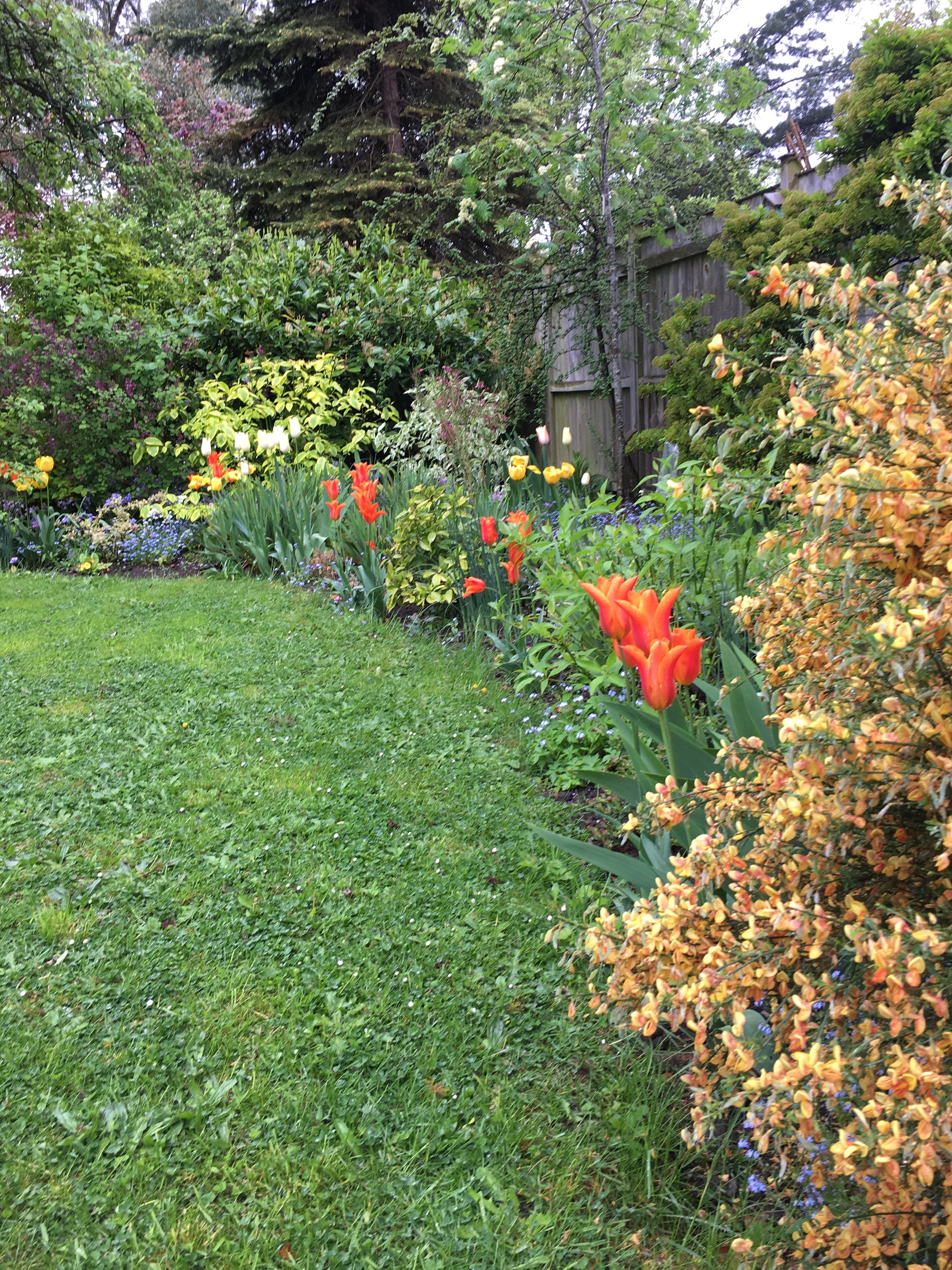 A beautifully designed garden with lush greenery, vibrant flowers, and a serene seating area. Thoughtfully landscaped with a mix of seasonal plants, textured foliage, and natural stone pathways, creating a tranquil outdoor retreat.