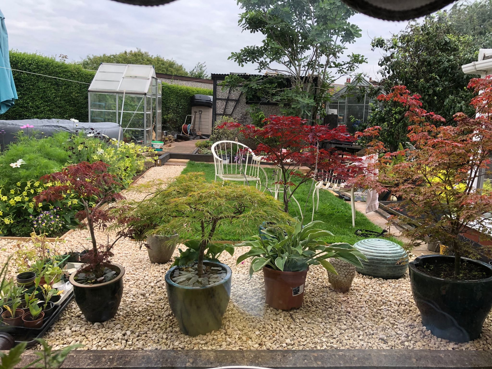 A beautifully designed garden with lush greenery, vibrant flowers, and a serene seating area. Thoughtfully landscaped with a mix of seasonal plants, textured foliage, and natural stone pathways, creating a tranquil outdoor retreat.