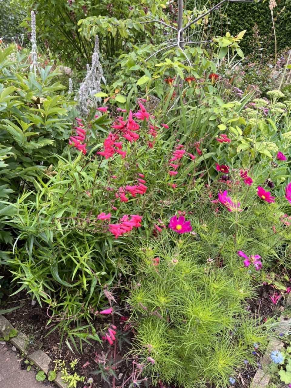 A beautifully designed garden with lush greenery, vibrant flowers, and a serene seating area. Thoughtfully landscaped with a mix of seasonal plants, textured foliage, and natural stone pathways, creating a tranquil outdoor retreat.
