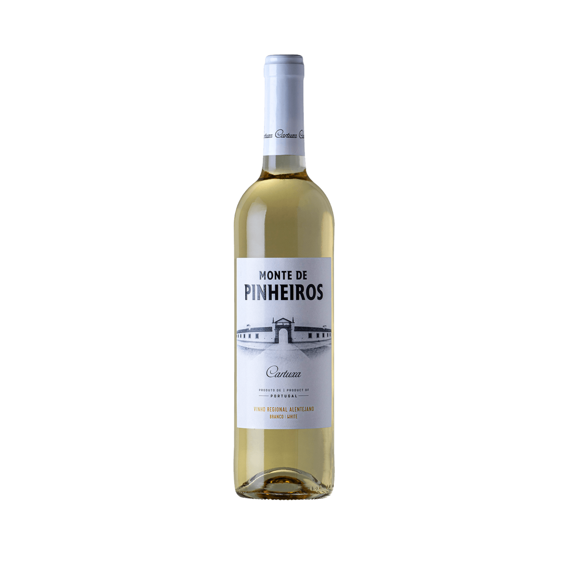 monte pinheiro white site pic.png