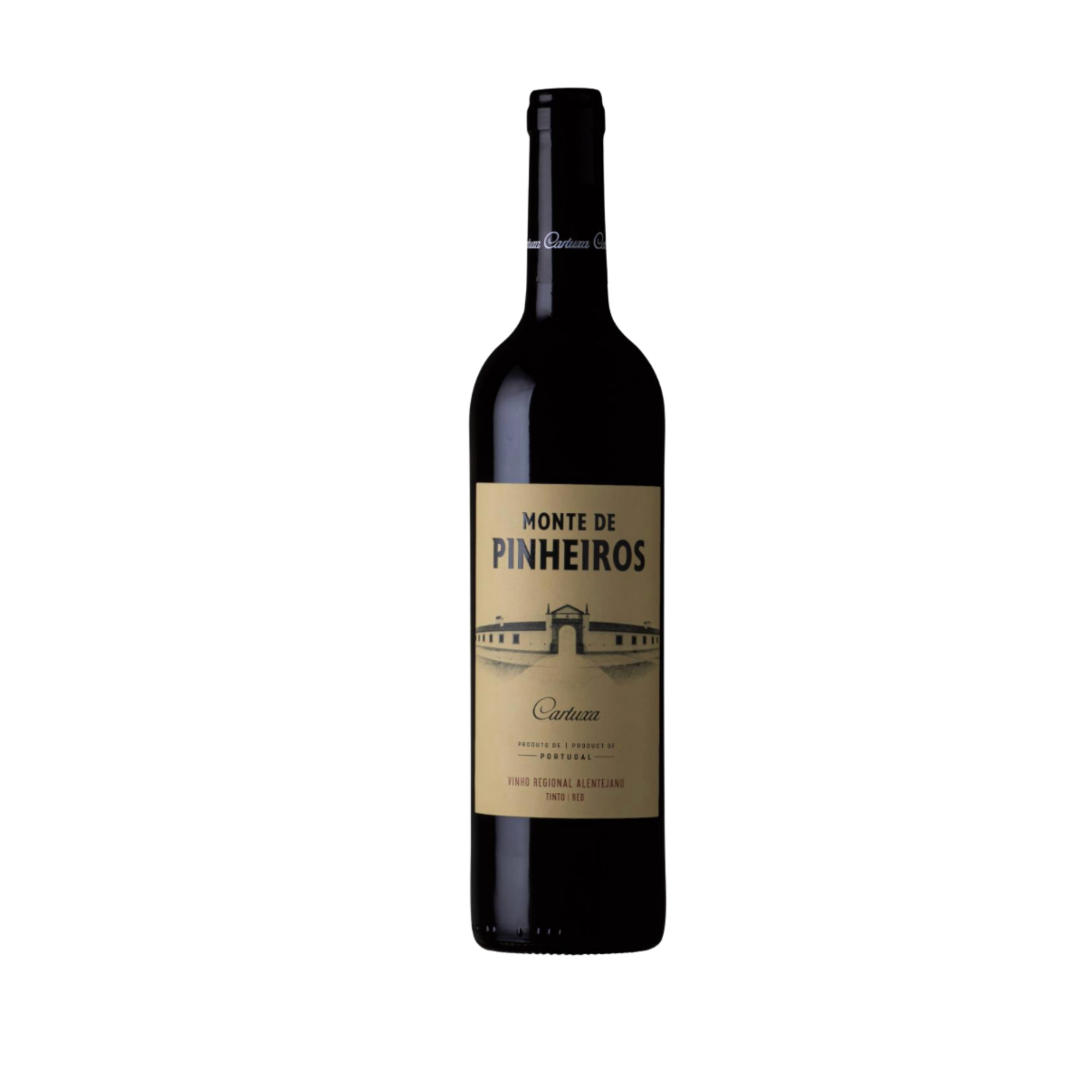 Yellow Modern Square Magazine Logo (1).png