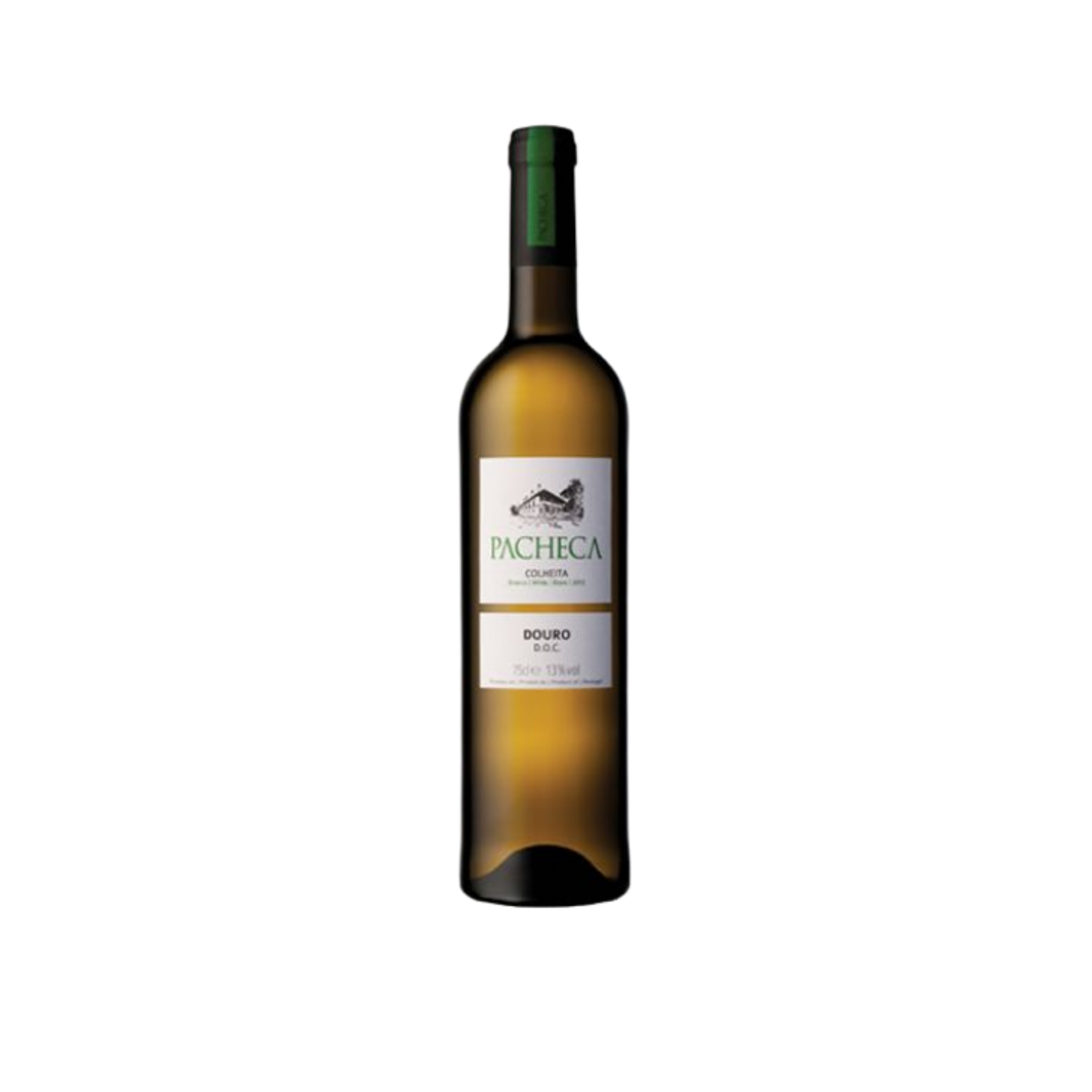 pacheca white site.png