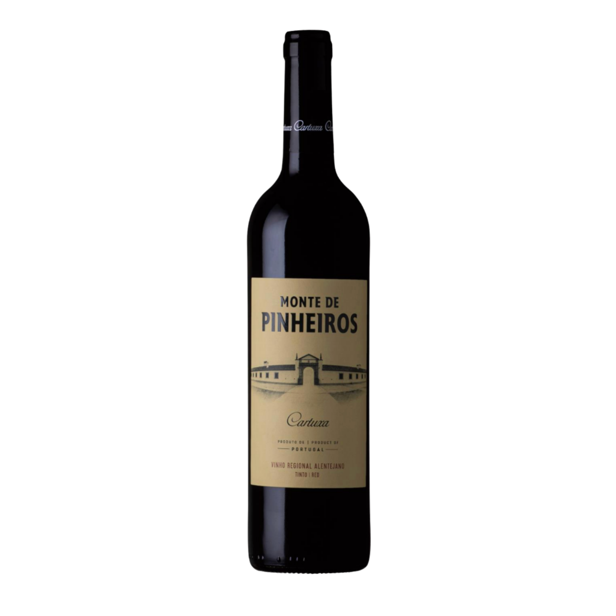 Yellow Modern Square Magazine Logo (1).png