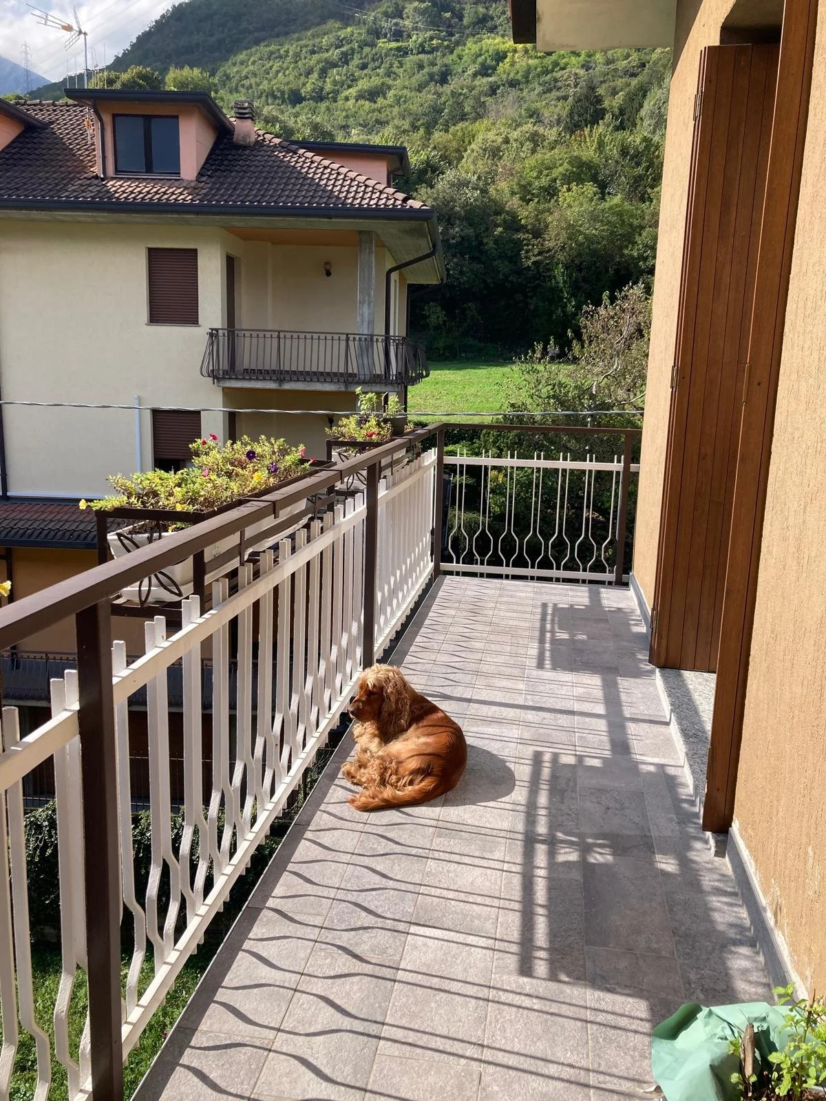 fabiani-terrazzo nuovo