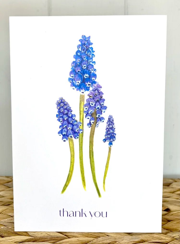 Grape Hyacinth card