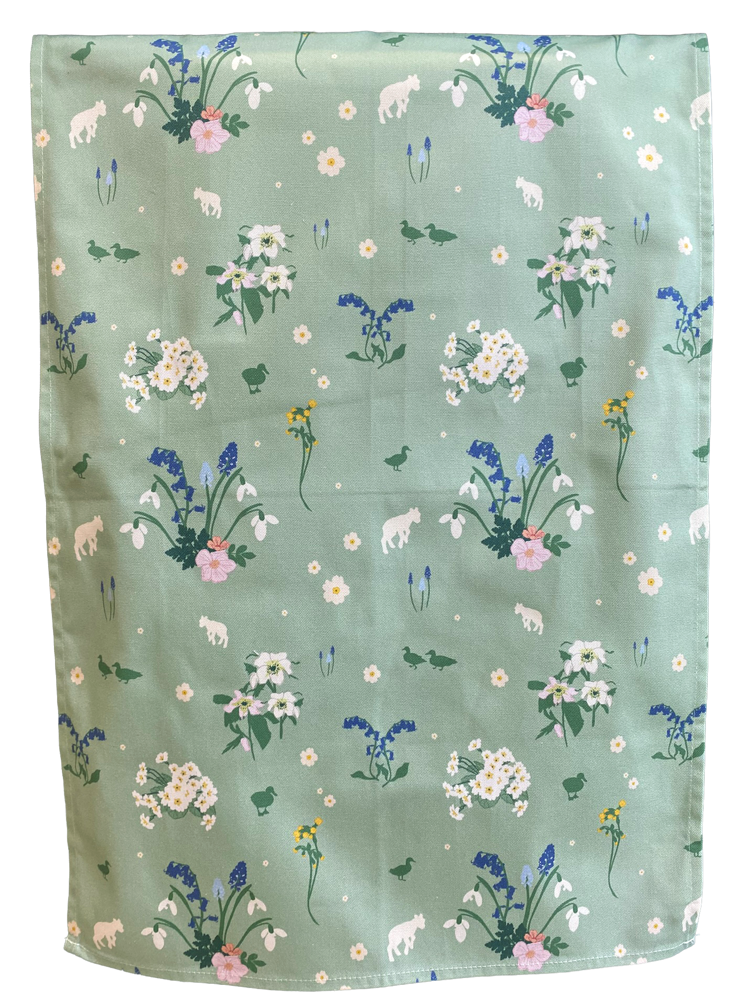 Spring is here transparent.png