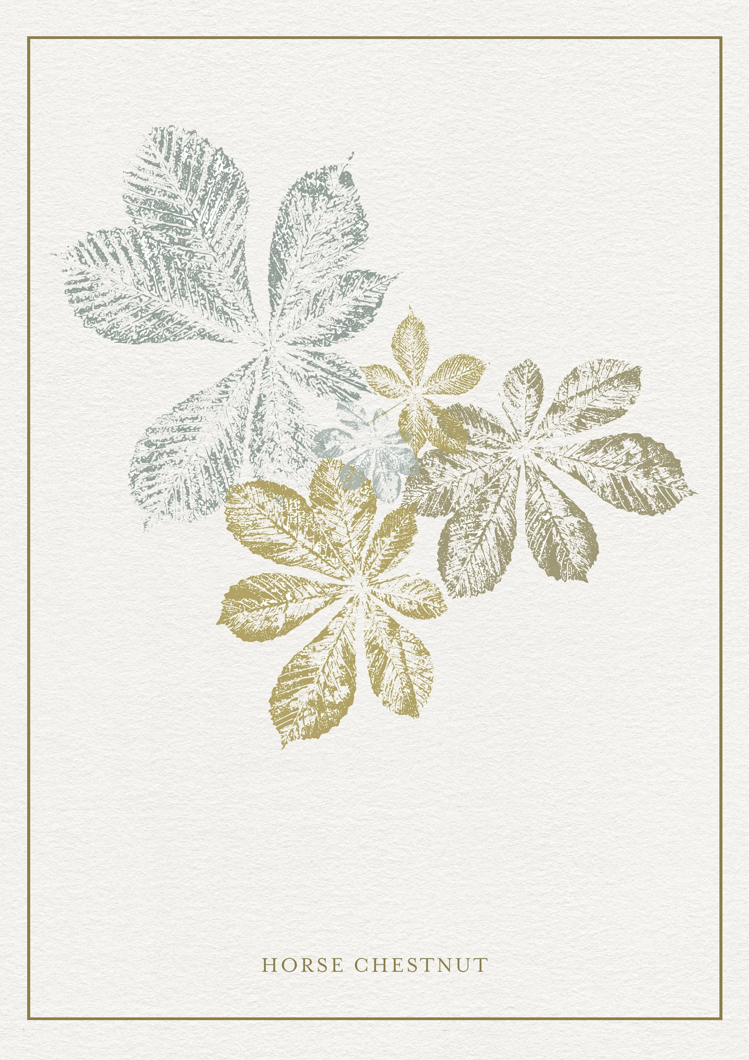 Horse Chestnut