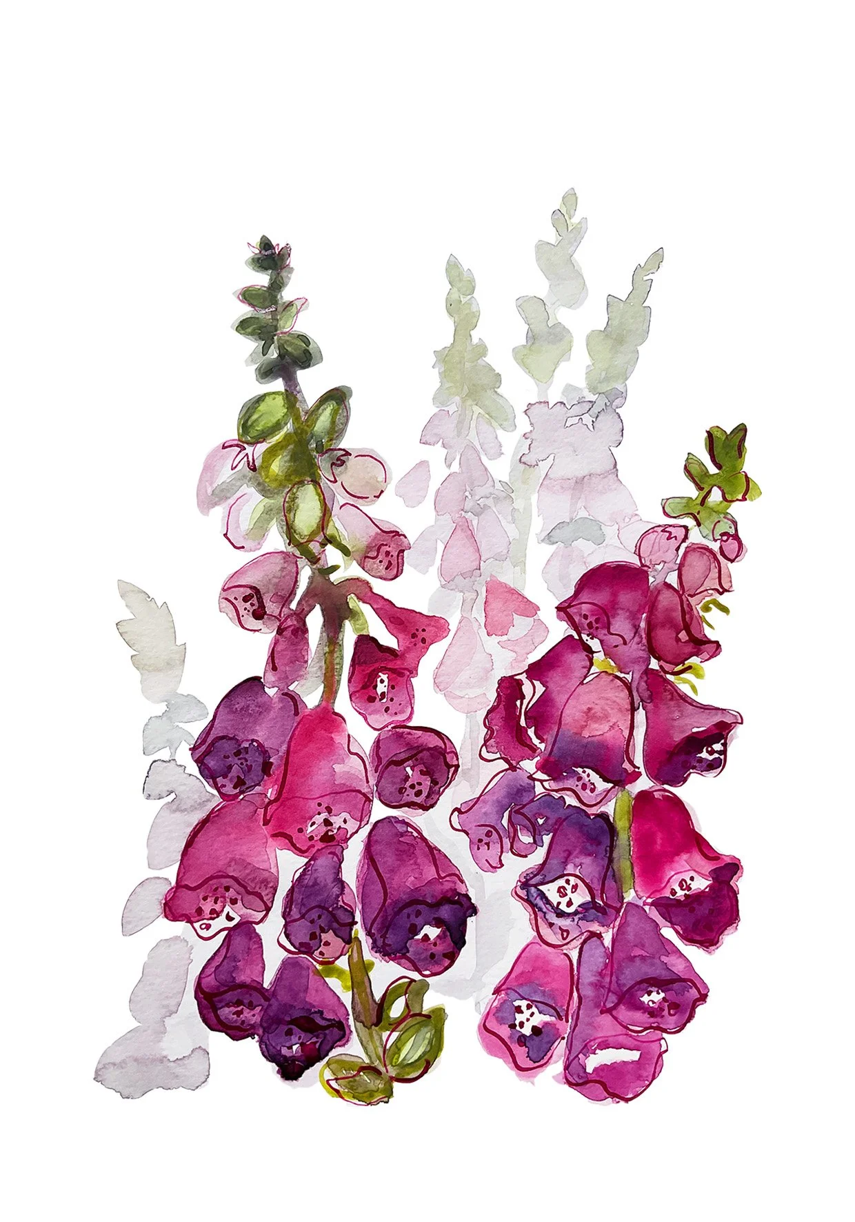 Fox gloves