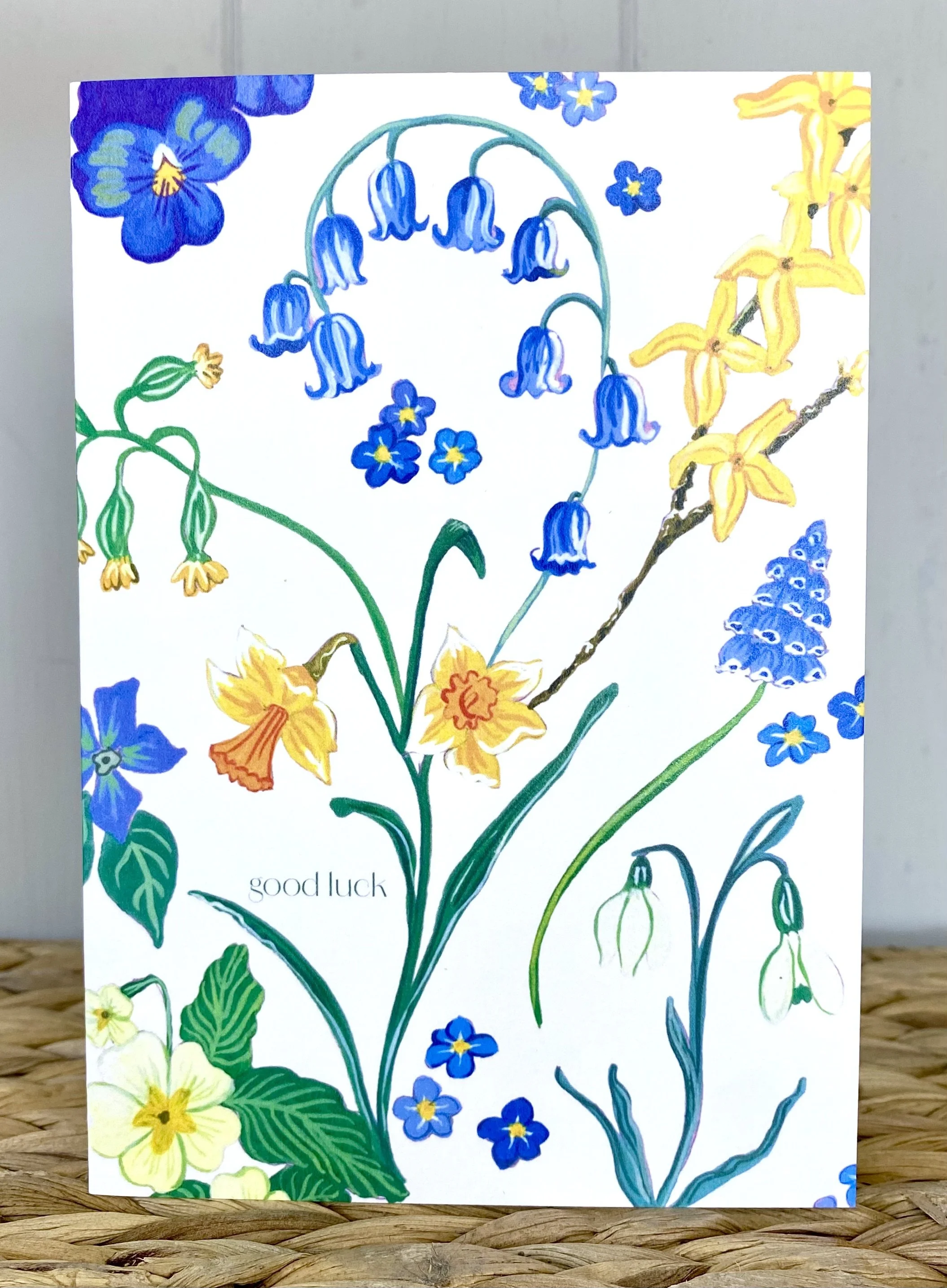 Spring Flowers