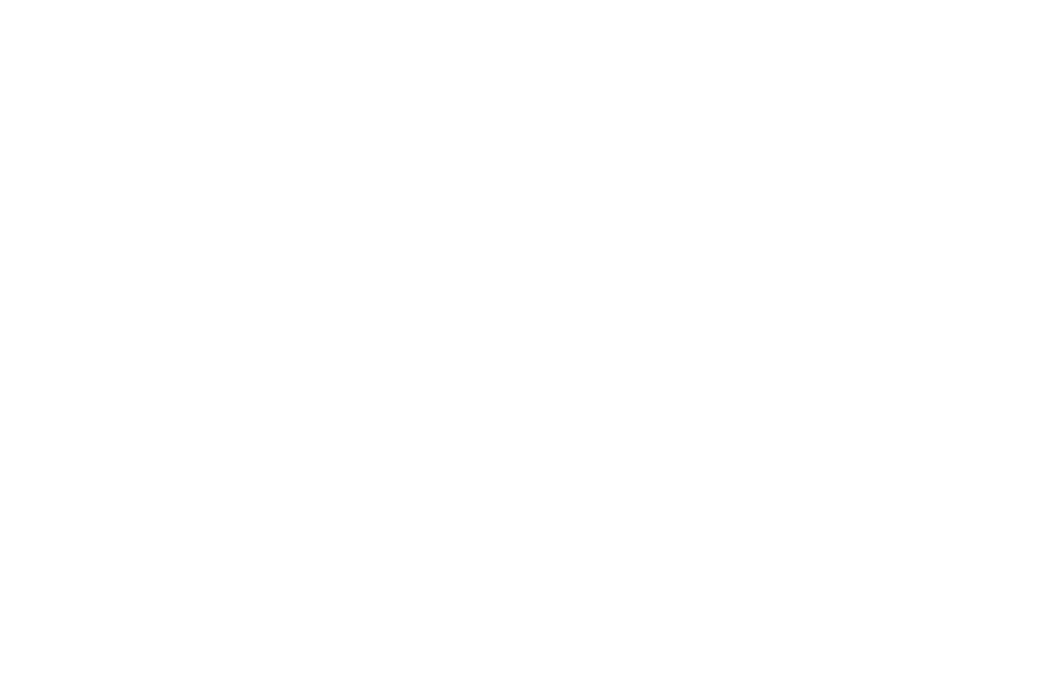 The Sweeney Group 