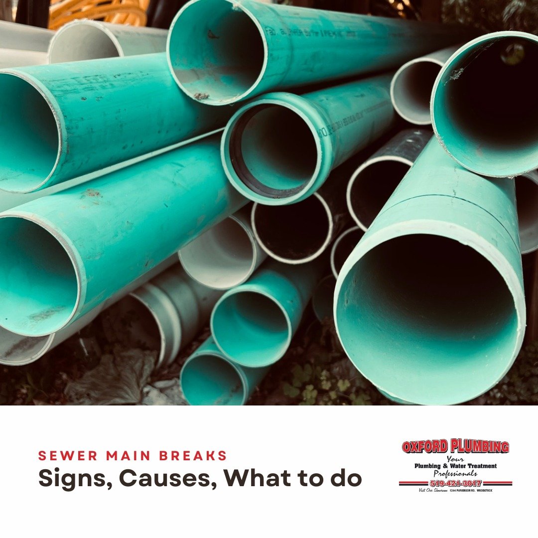 🚧 Local, Trusted &amp; Affordable &ndash; For Nearly 25 Years! 🚧

We&rsquo;ve seen too many neighbors hit with huge fees just for an assessment by out-of-town companies. Don't let that happen to you. We&rsquo;re your local sewer and water main expe