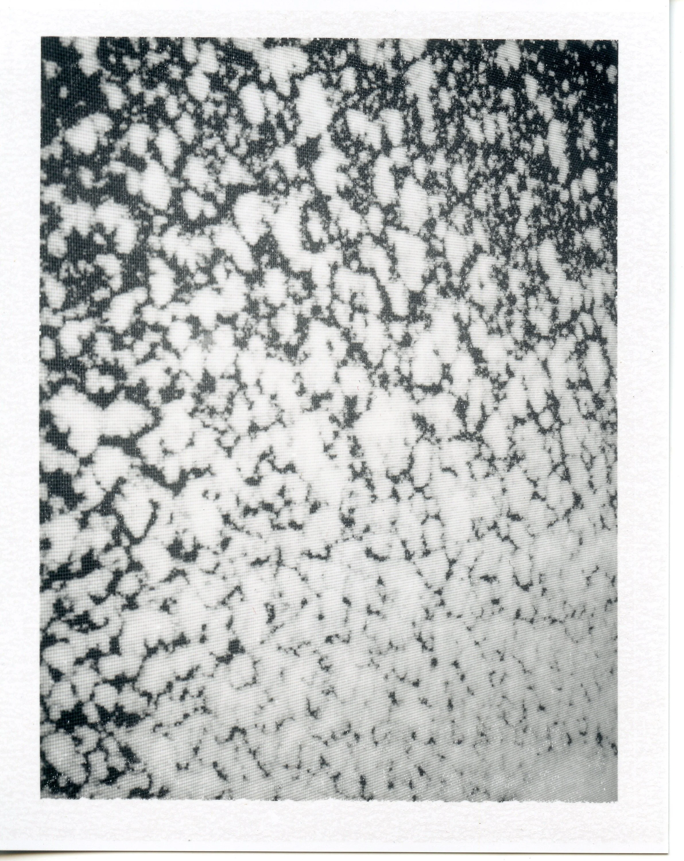 Bryan_Graf_interchanges_11.jpg