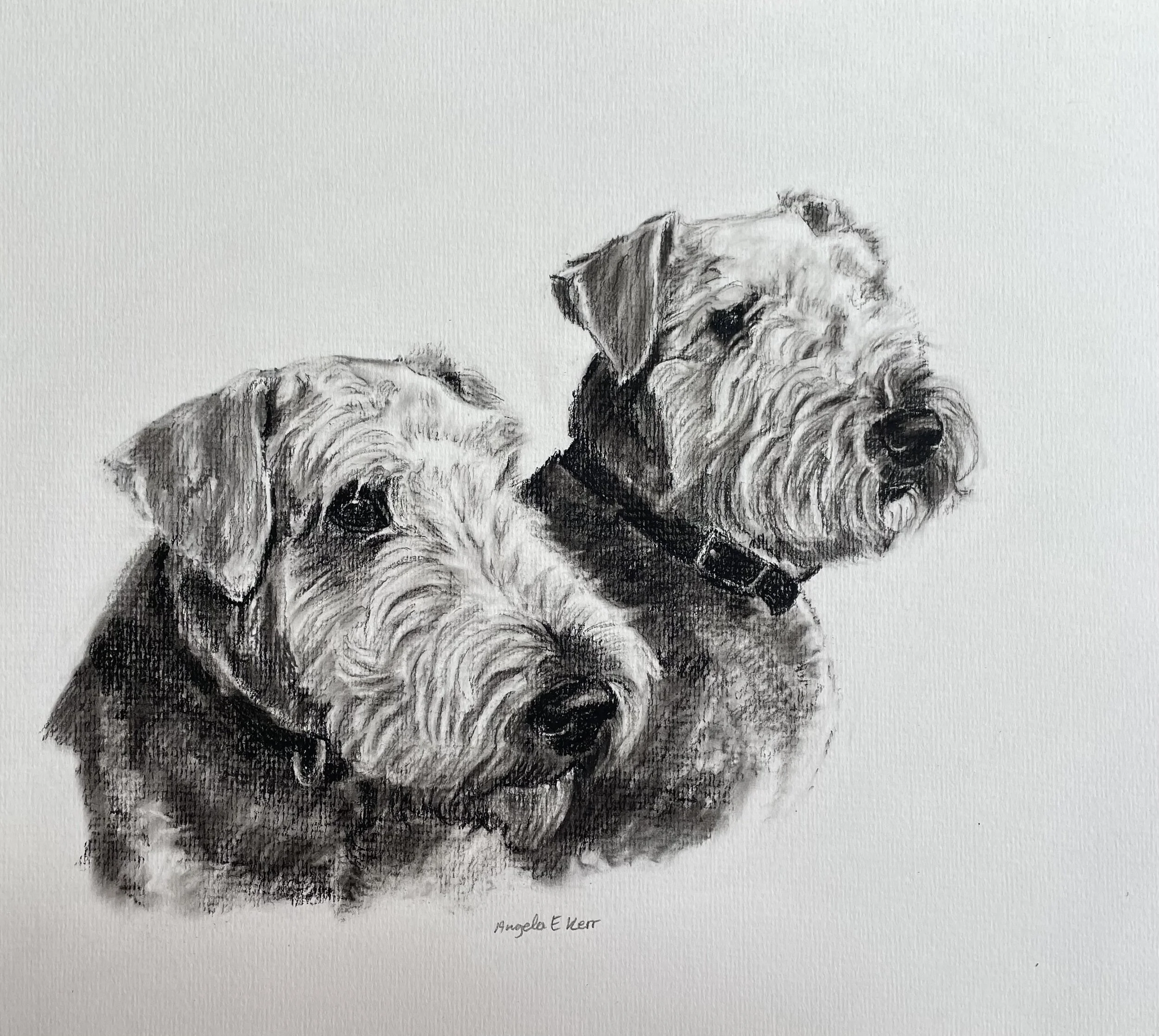 Ronnie-and-Linkin-Charcoal-Drawing-By-Angela-E-Kerr-Nottingham.jpg