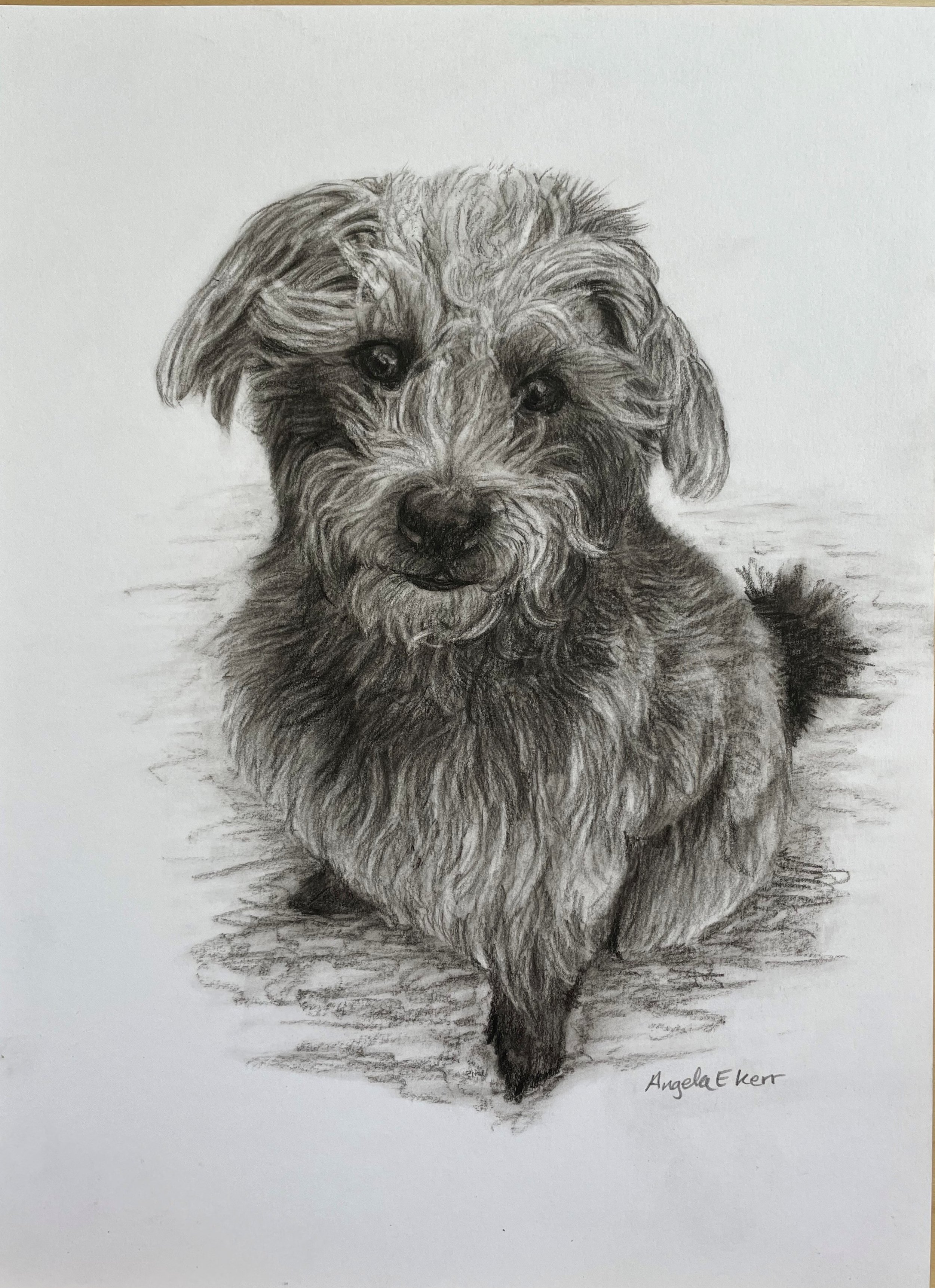 CHARCOAL DRAWINGS BY ANGELA E KERR ARTIST NOTTINGHAM