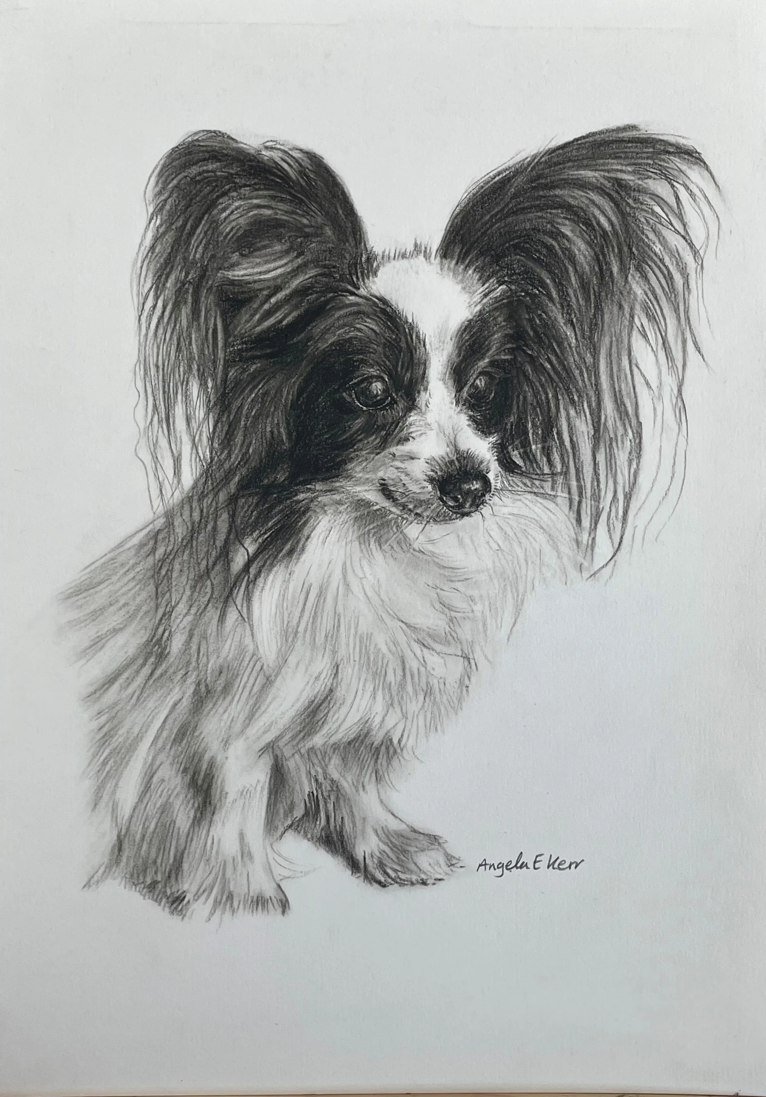 CHARCOAL DRAWINGS BY ANGELA E KERR ARTIST NOTTINGHAM