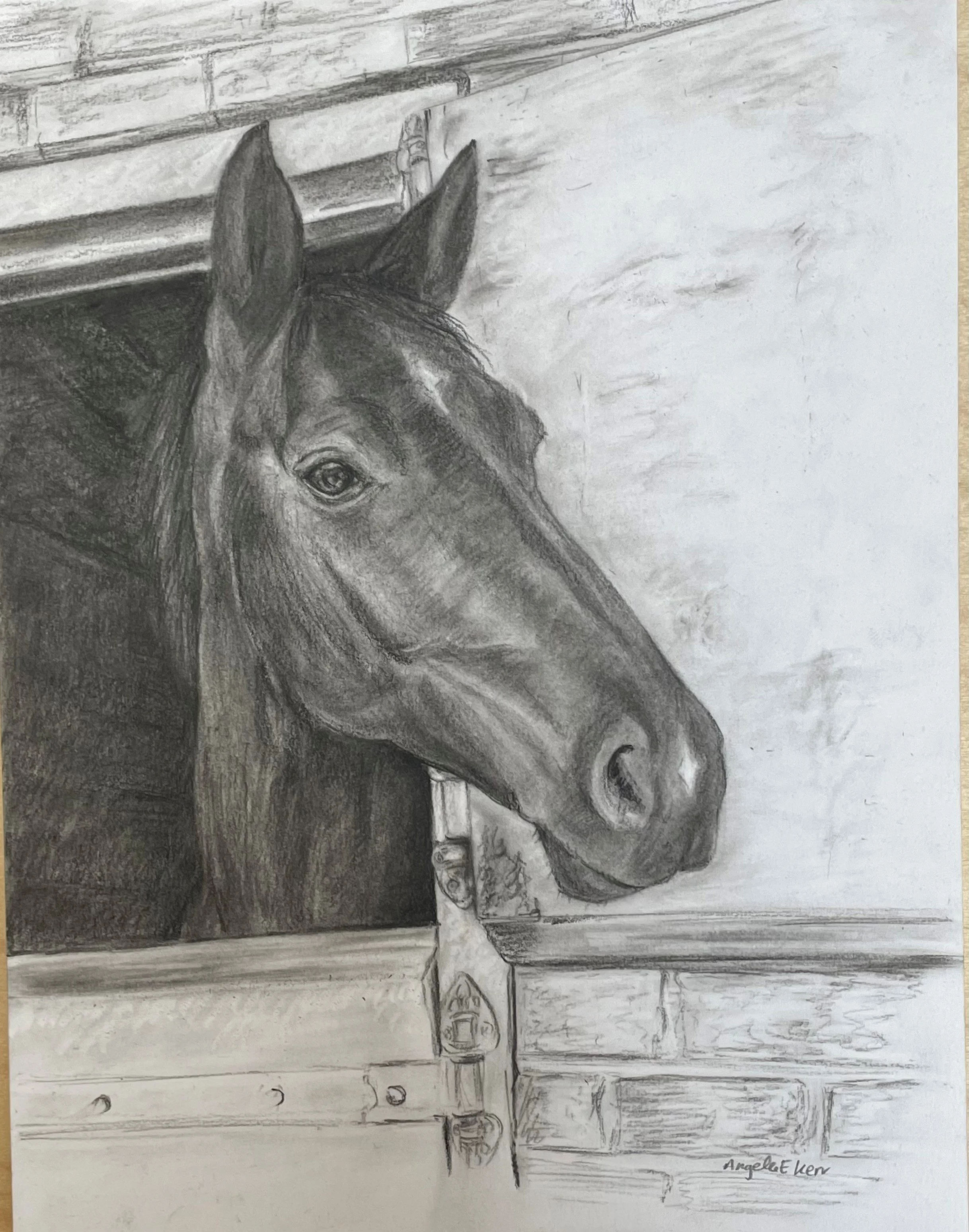 Gracie_Horse_Charcoal_Drawing_Commission_by_Angela_E_Kerr.jpg