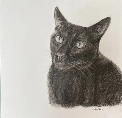Takk_Charcoal_Drawing_By_Angela_E_Kerr_Nottingham.jpg