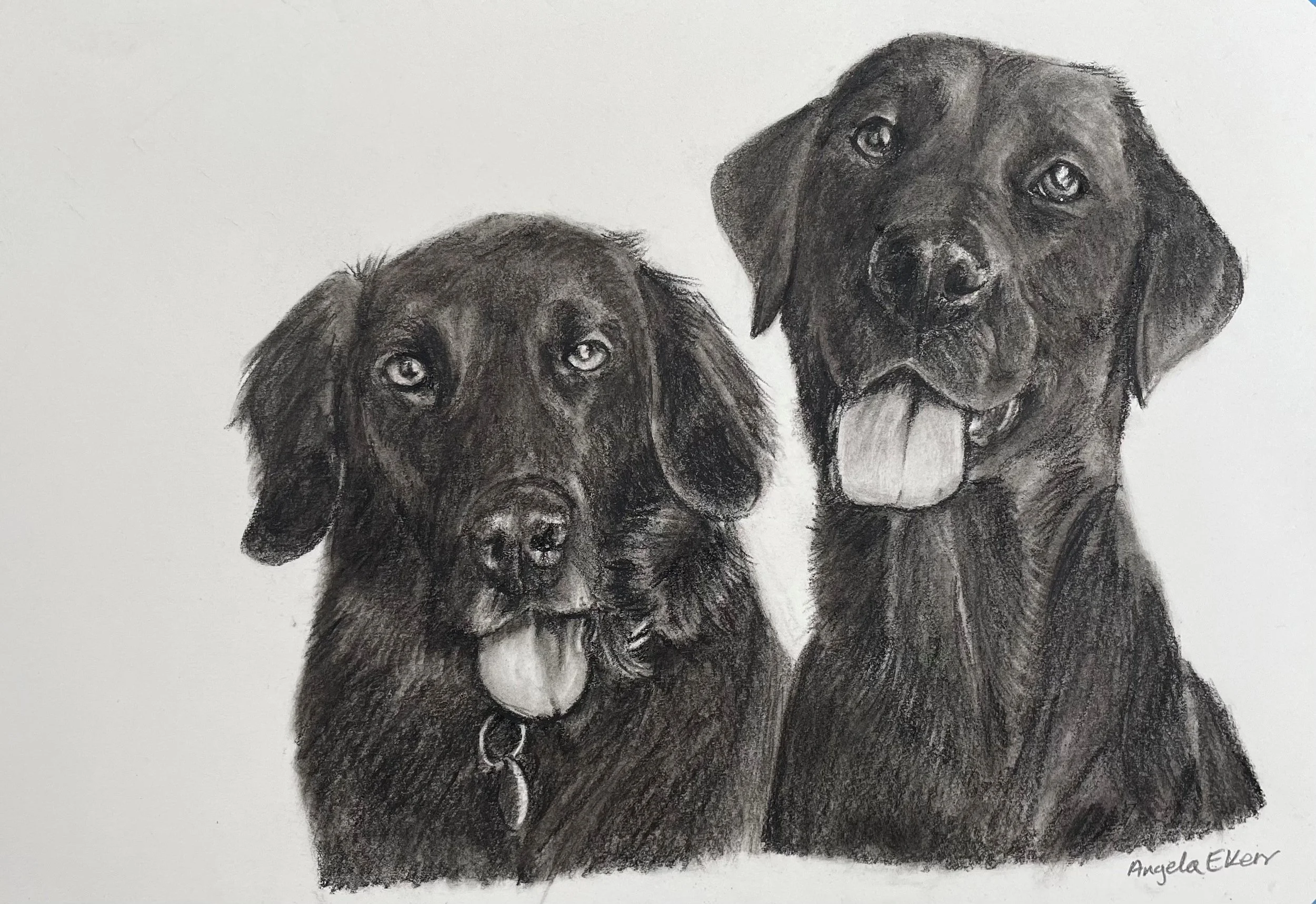 CHARCOAL DRAWINGS BY ANGELA E KERR ARTIST NOTTINGHAM