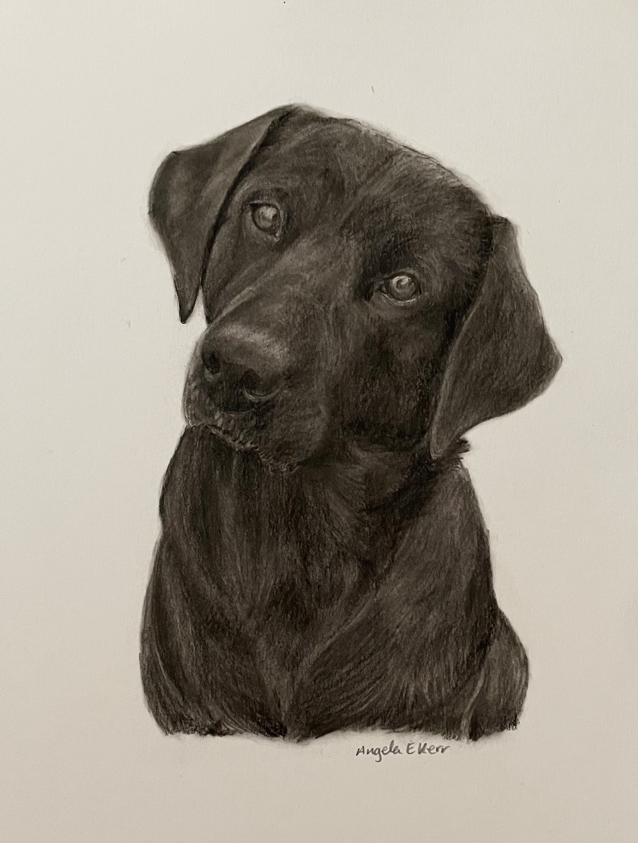 Tara_charcoal_drawing_by_Angela_E_Kerr_Portraits_Nottingham.jpg