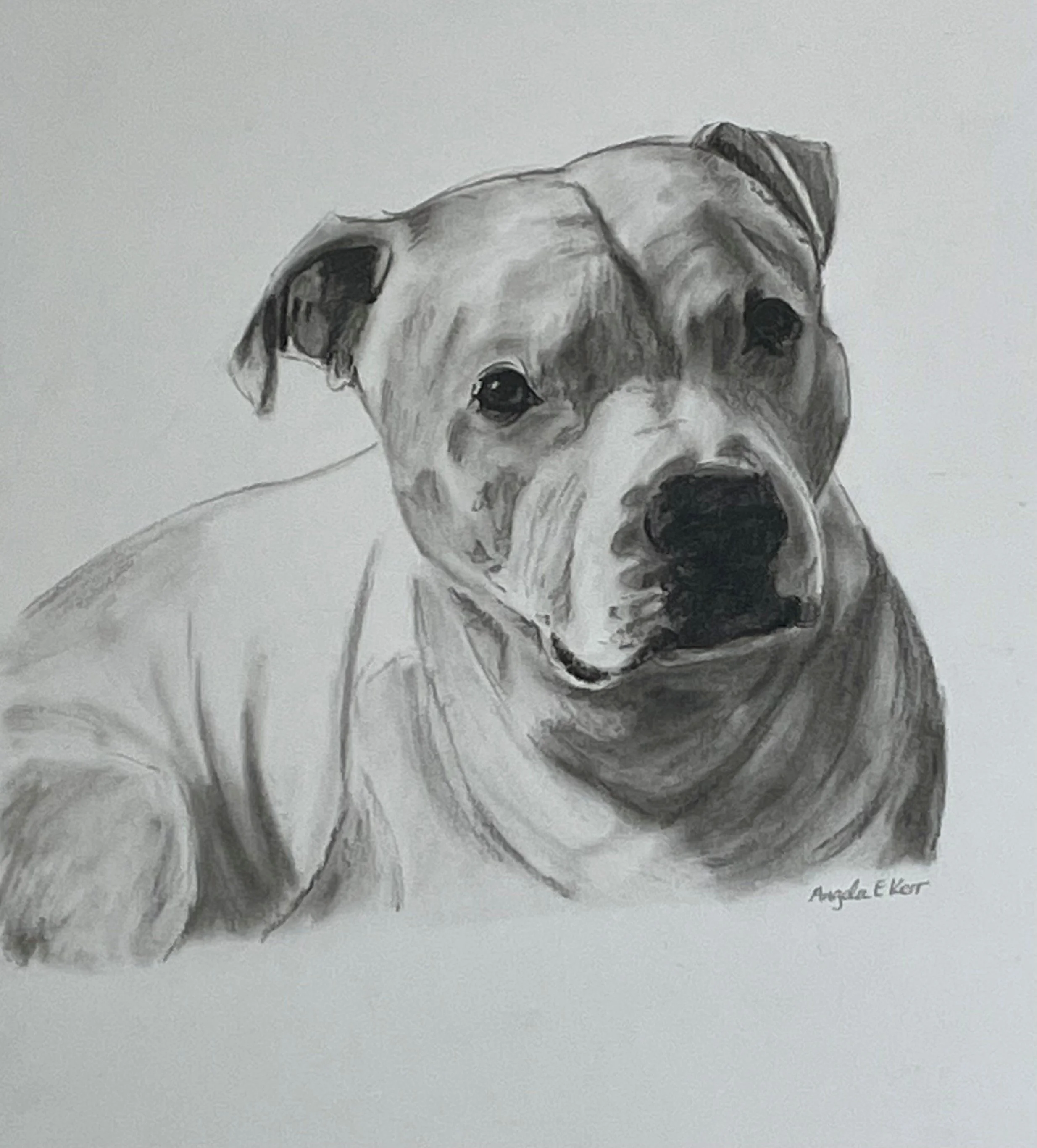 CHARCOAL DRAWINGS BY ANGELA E KERR ARTIST NOTTINGHAM