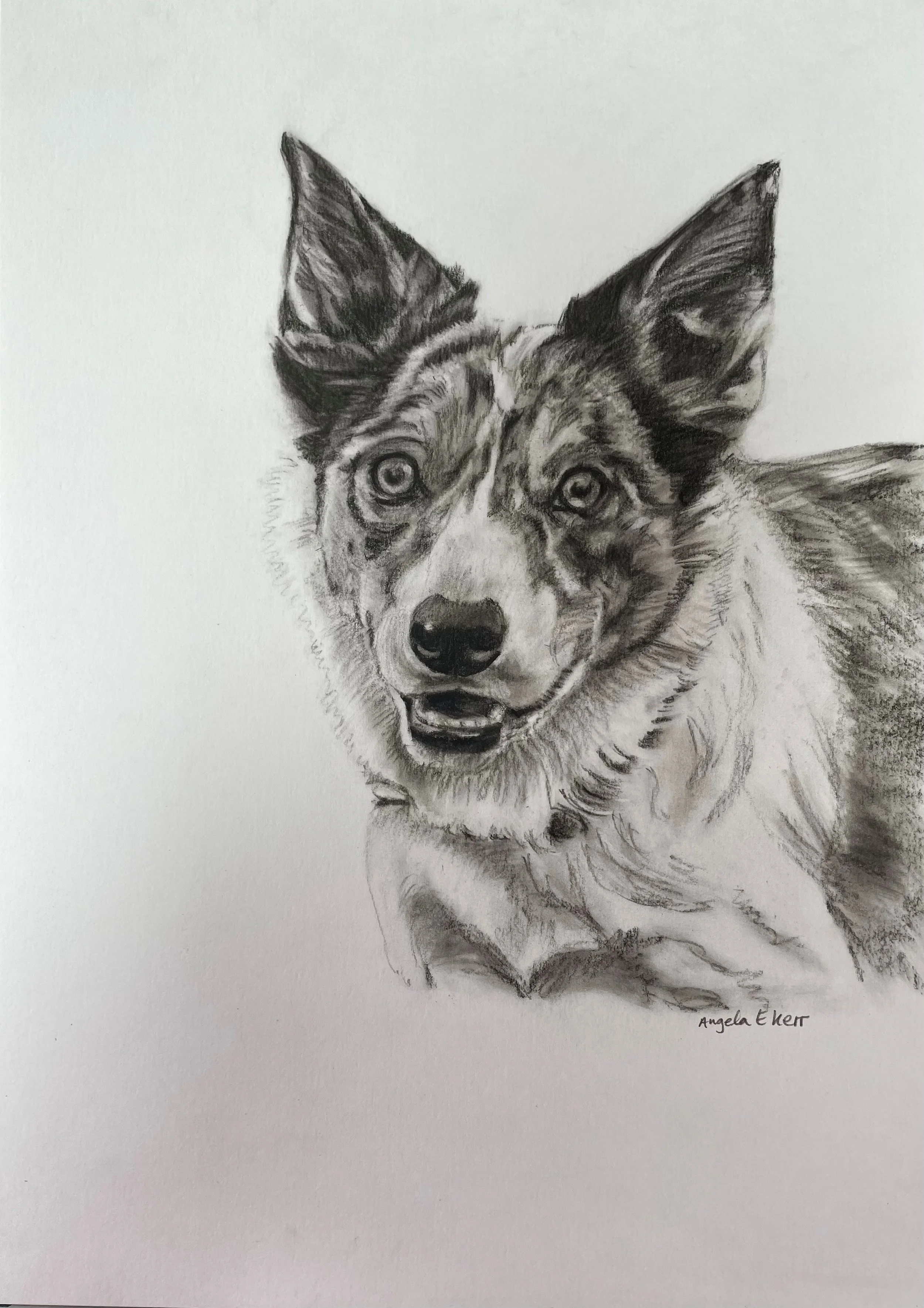 Sky_Charcoal_drawing_by_Angela_E_Kerr_Nottingham.jpg