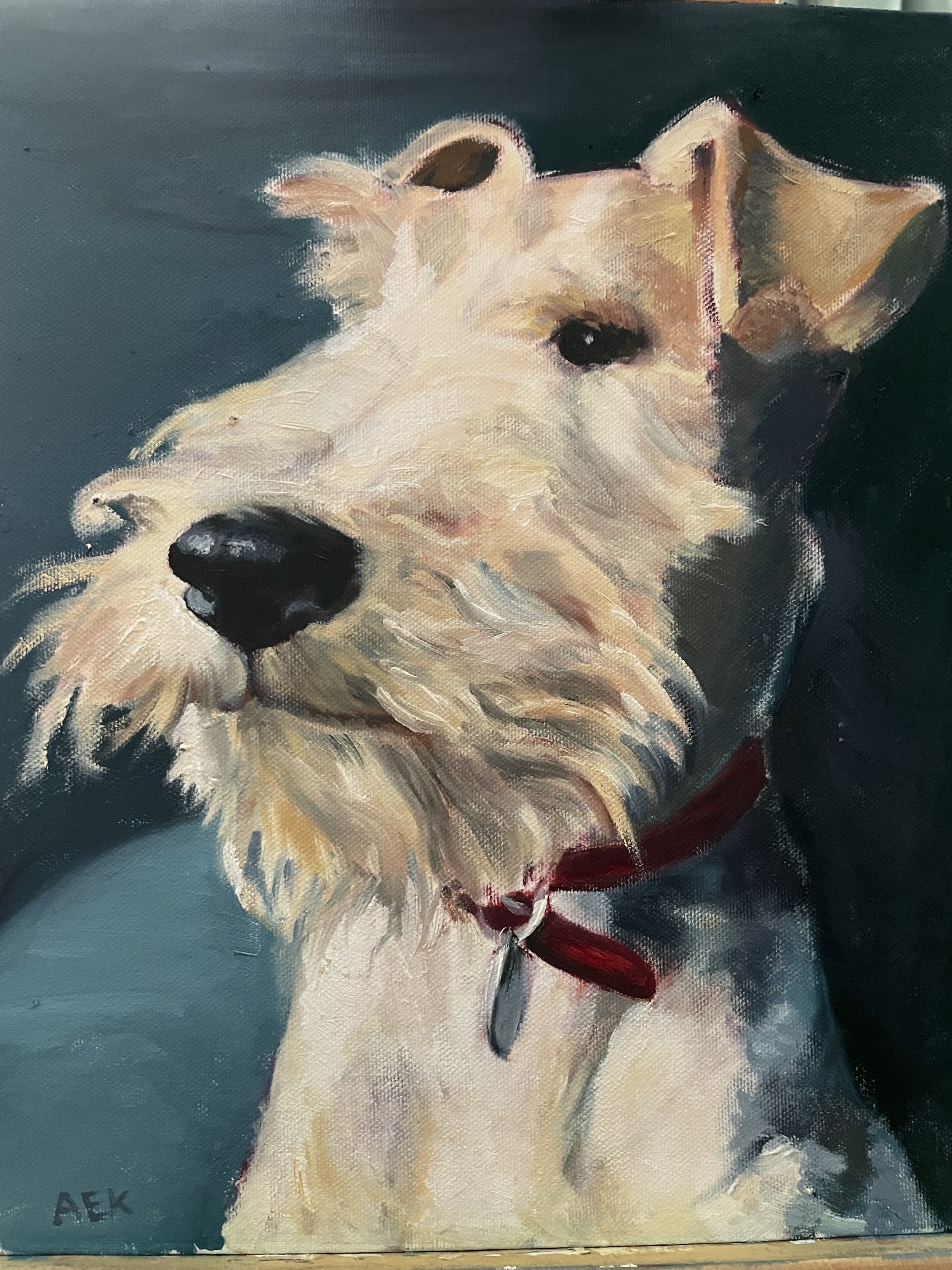 Jack_Fox_Terrier_Commissioned_Oil_Painting_by_Angela_E_Kerr_Portraits.jpg