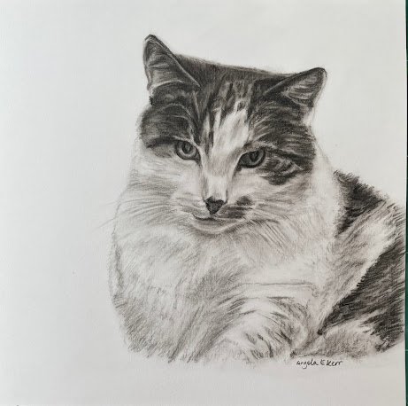 Hadda_Charcoal_Drawing_by_Angela_E_Kerr_Nottingham.jpg