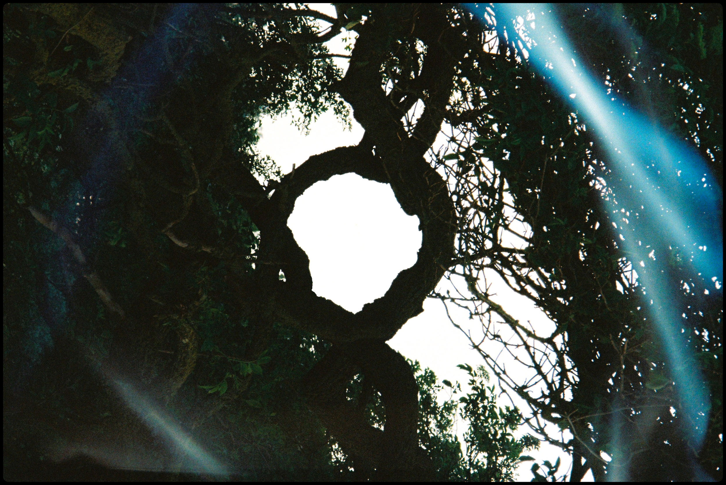 Border 3 (1).png