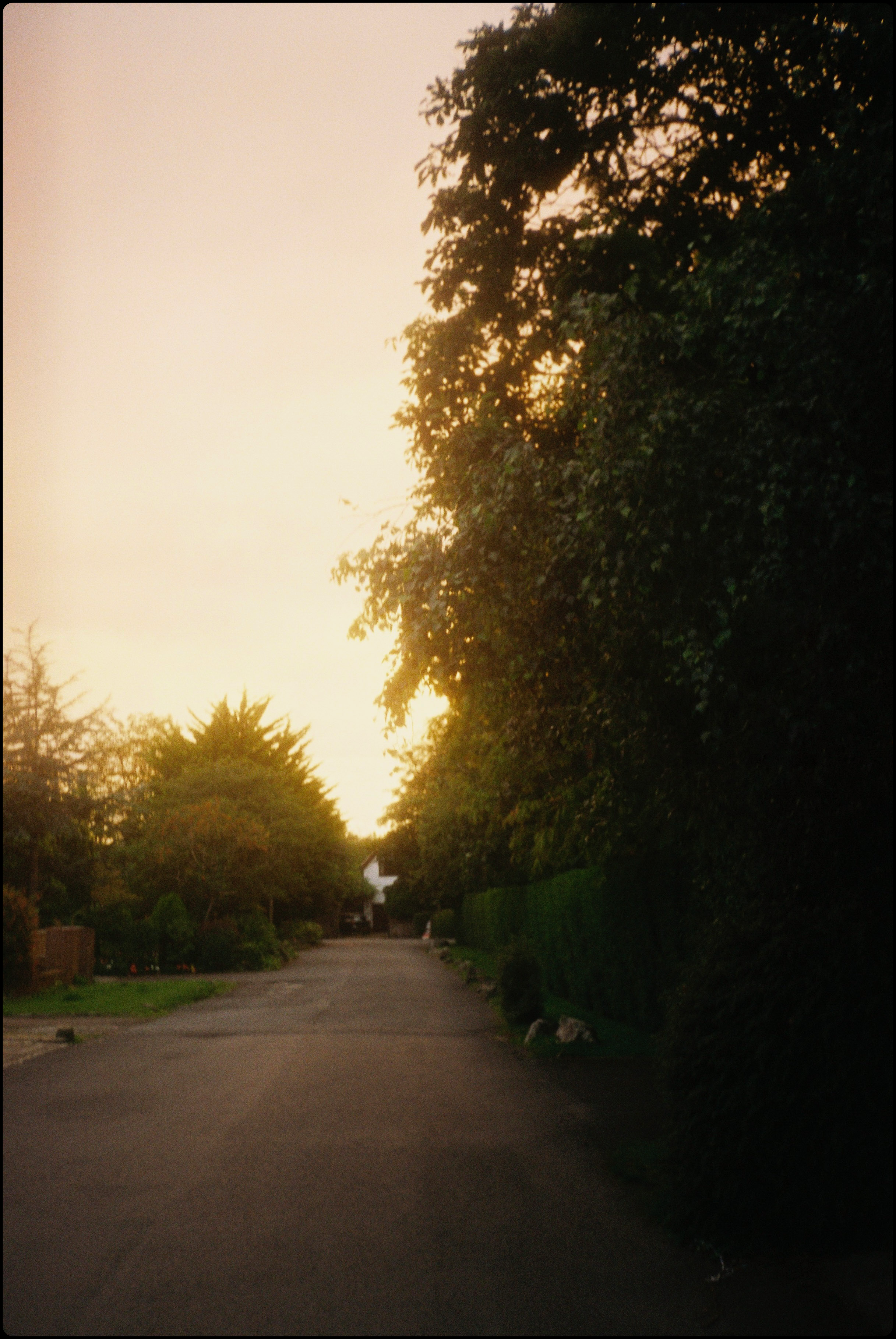 IMG_0282 (1).png
