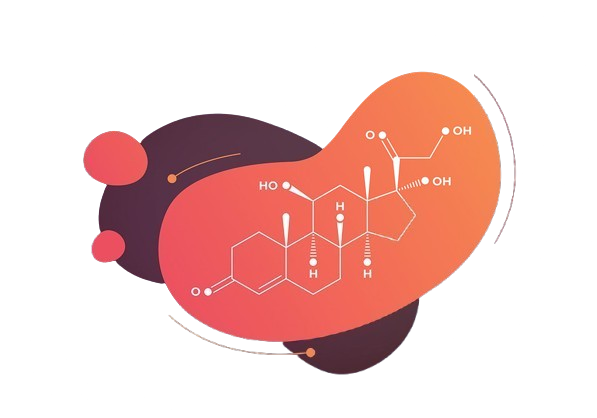 Cortisol: alto de manhã, baixo à noite