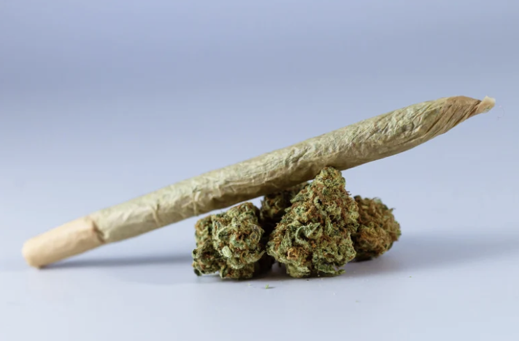 Cannabis: Ciência em vez de Ideologia