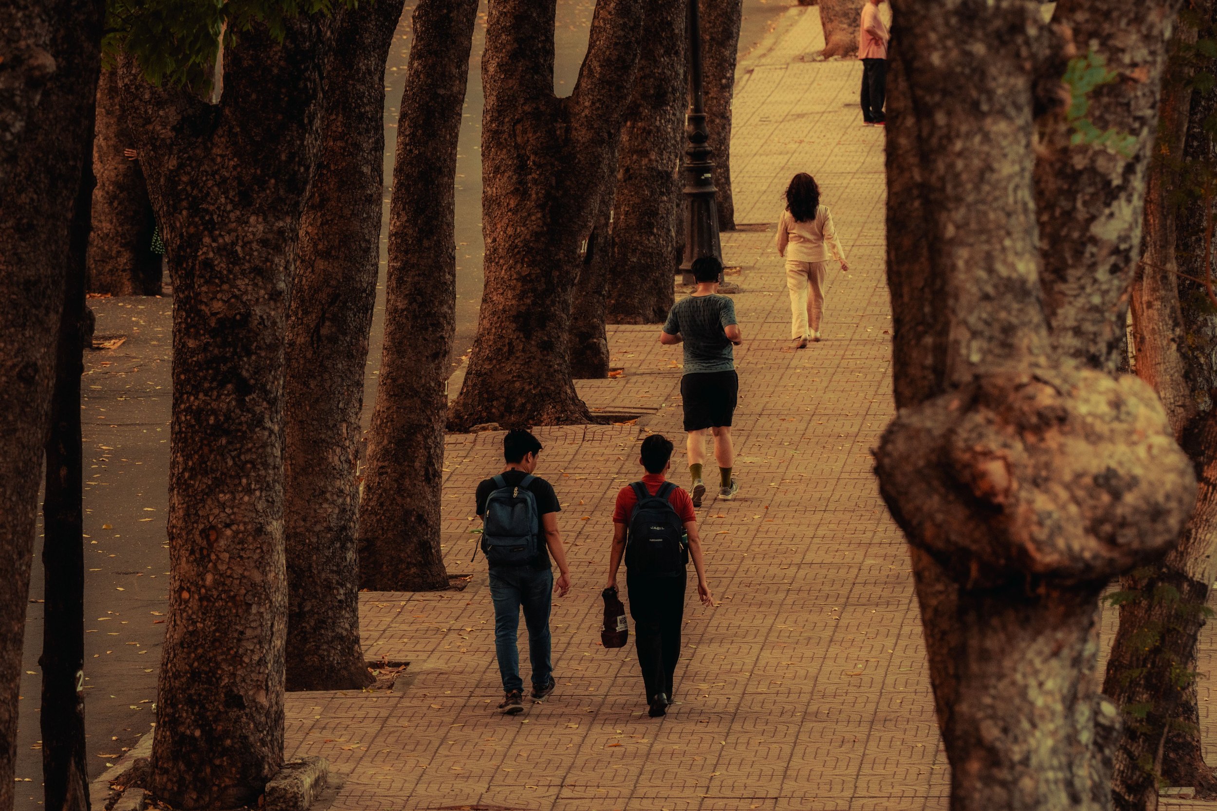 Nem todas as caminhadas têm o mesmo efeito no cérebro