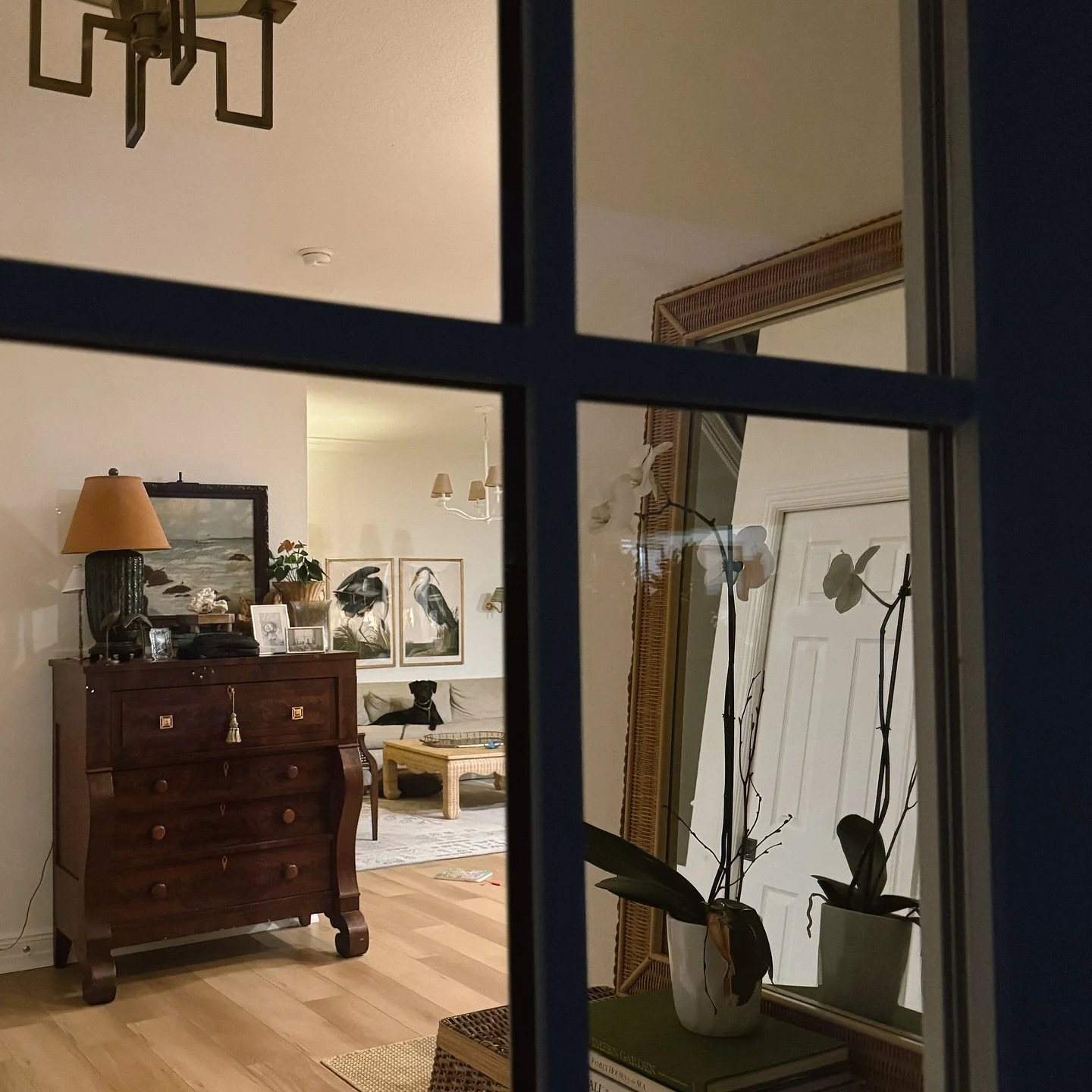 This is your sign to get a new front door

I&rsquo;ve told my husband it&rsquo;s the best money I&rsquo;ve ever spent. A lot of research &amp; time went into making this selection&mdash; I have a lot of thoughts and we did not break the bank on this 