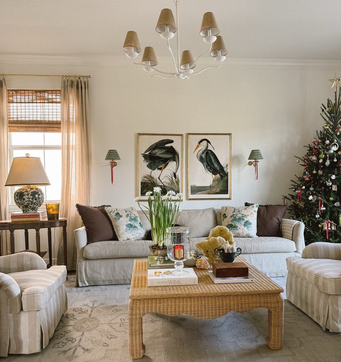 The merriest Christmas season so far ❤️✨