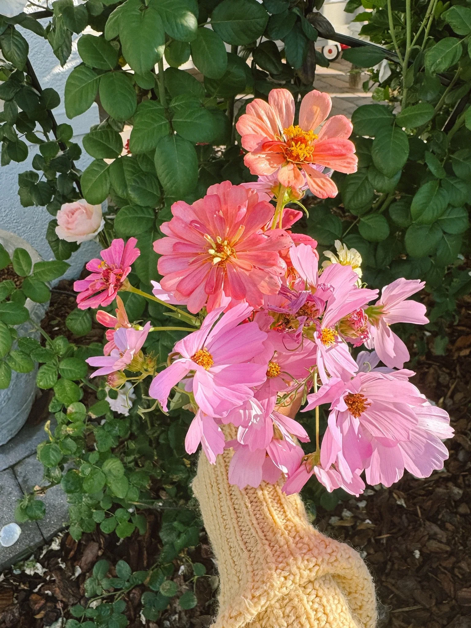 The first harvest of the season

Believe it or not, this is the hardest for me. I know what&rsquo;s to come, beds bursting with flowers and tall stems, but right now it looks sparse and small. 

That&rsquo;s the beauty of the garden- it&rsquo;s a mir