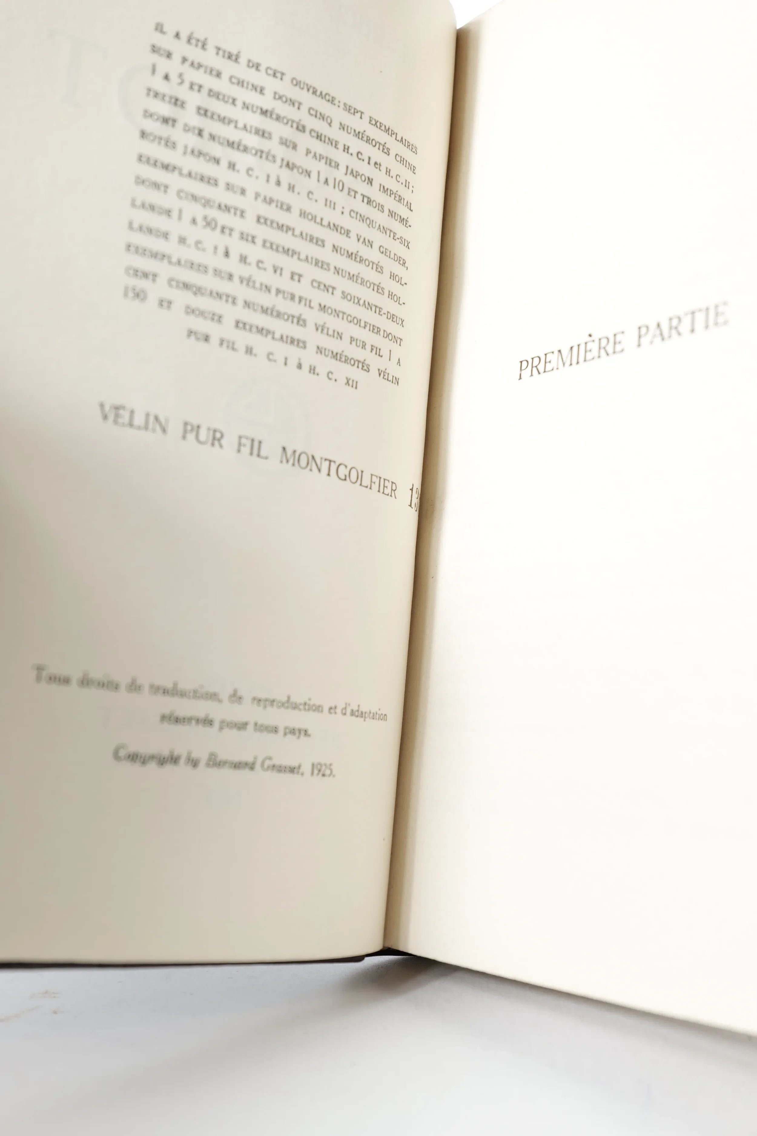 P1001194_result.webp