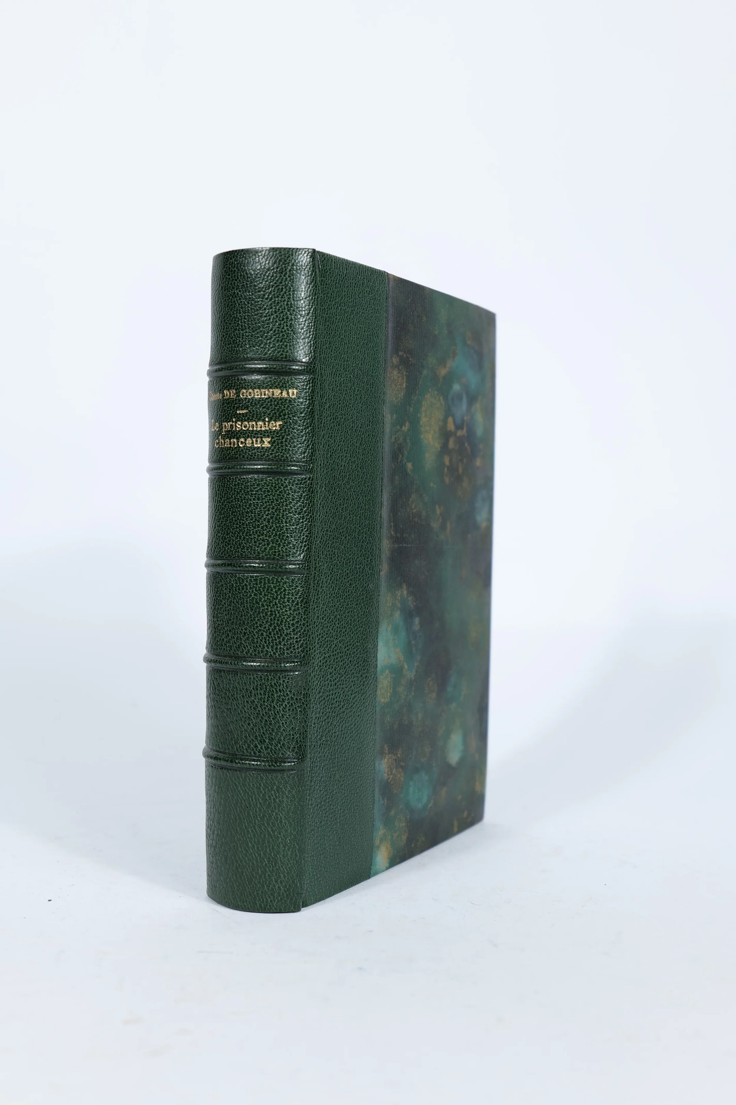 Gobineau (Conte de), Le prisonnier chanceux