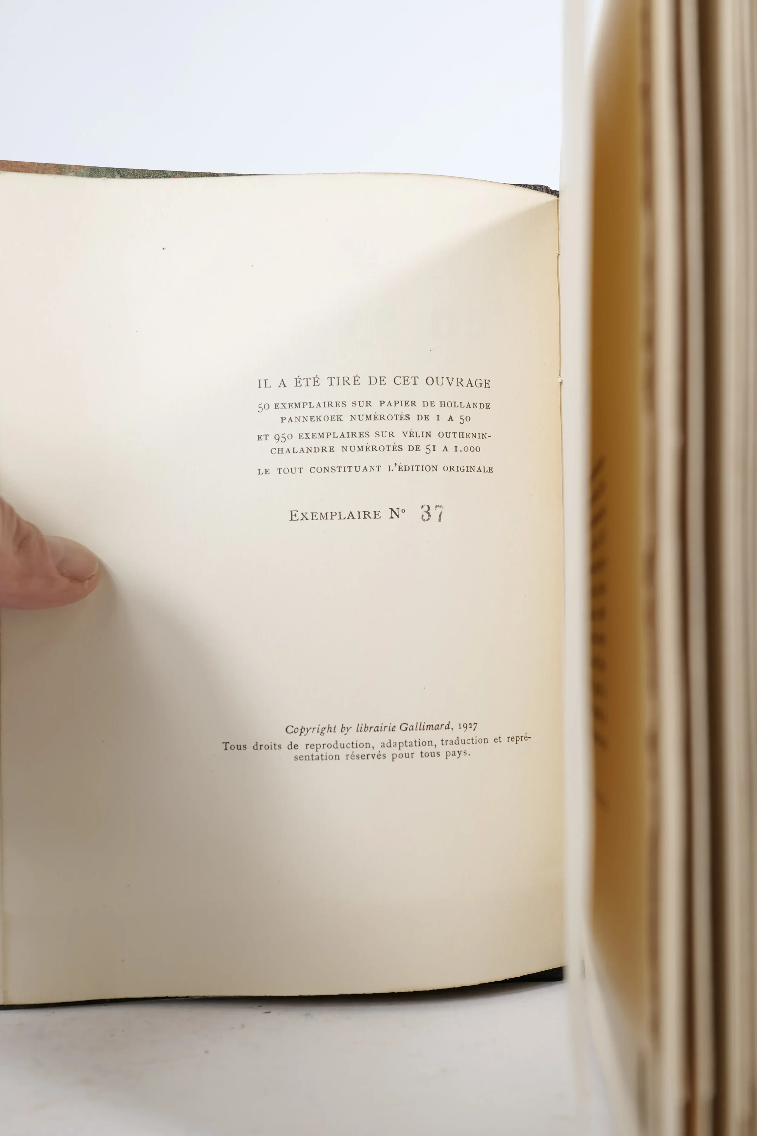 P1001545_result.webp