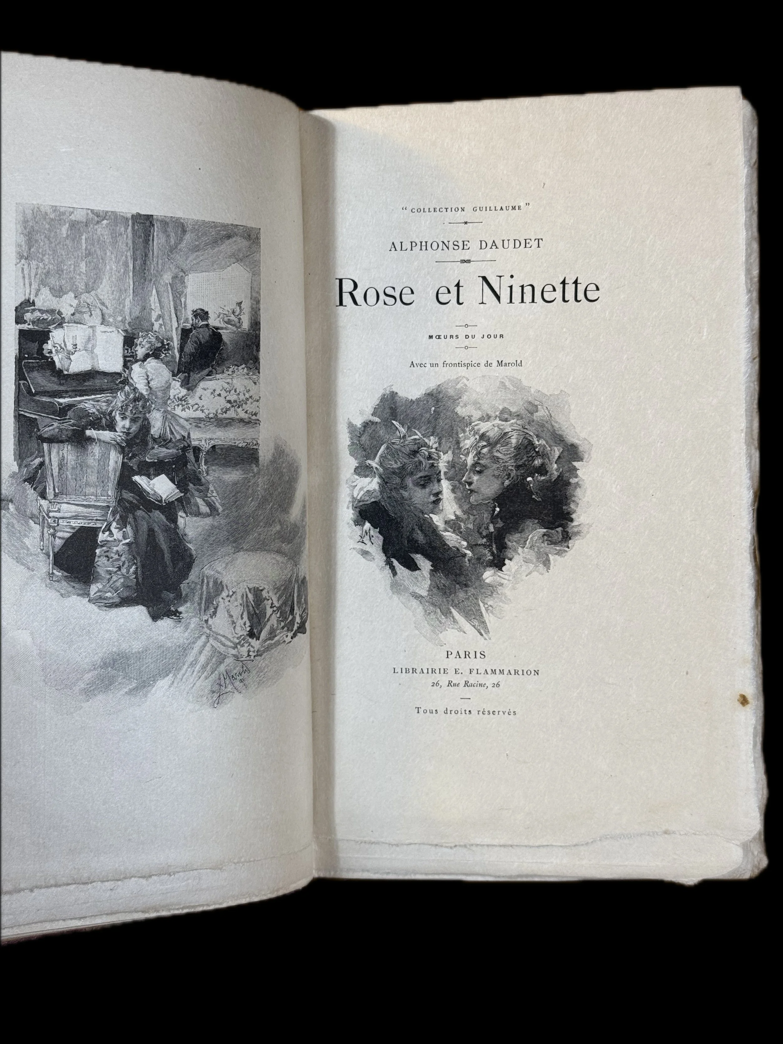 ROSE ET NINETTE TITREE.jpg
