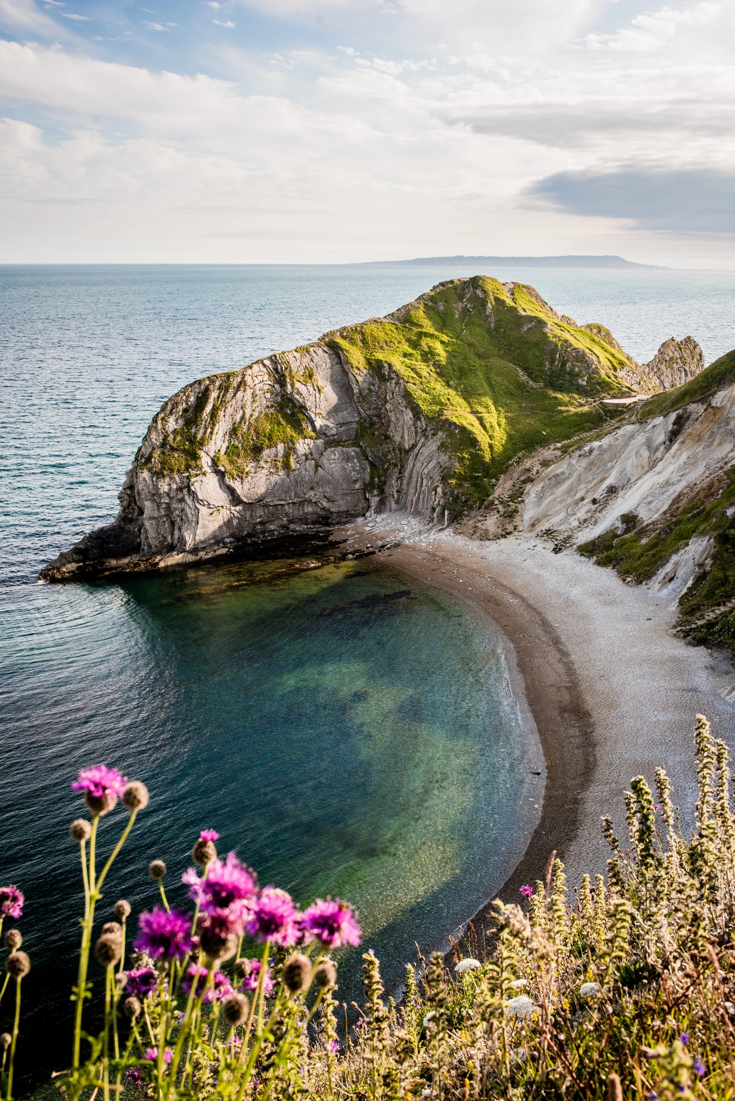 Scenic coastal landscape with rocky cliffs, sandy beach, and purple wildflowers in the foreground, overlooking the ocean.
