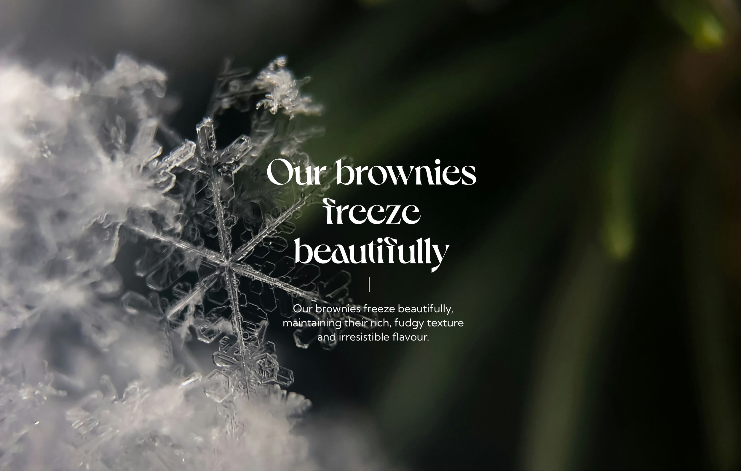 Close-up of a snowflake with white text overlay stating, "Our brownies freeze beautifully." Background is dark with a blurred natural look. Additional text reads, "Our brownies freeze beautifully, maintaining their rich, fudgy texture and irresistibl