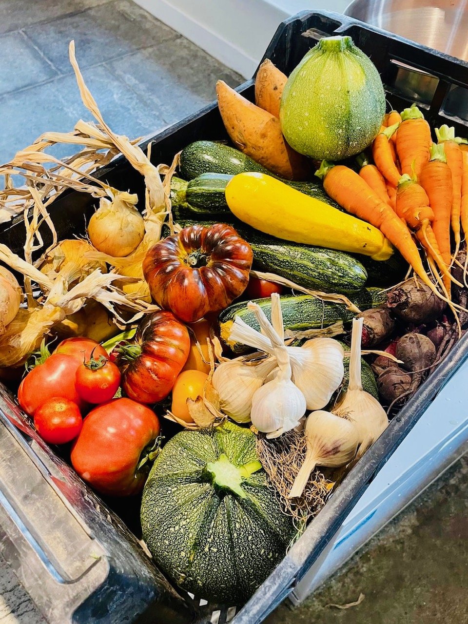 Assorted fresh vegetables including garlic, tomatoes, carrots, onions, zucchini, squash, sweet potatoes, and a round zucchini in a black crate. Harvest display on a tiled floor.
