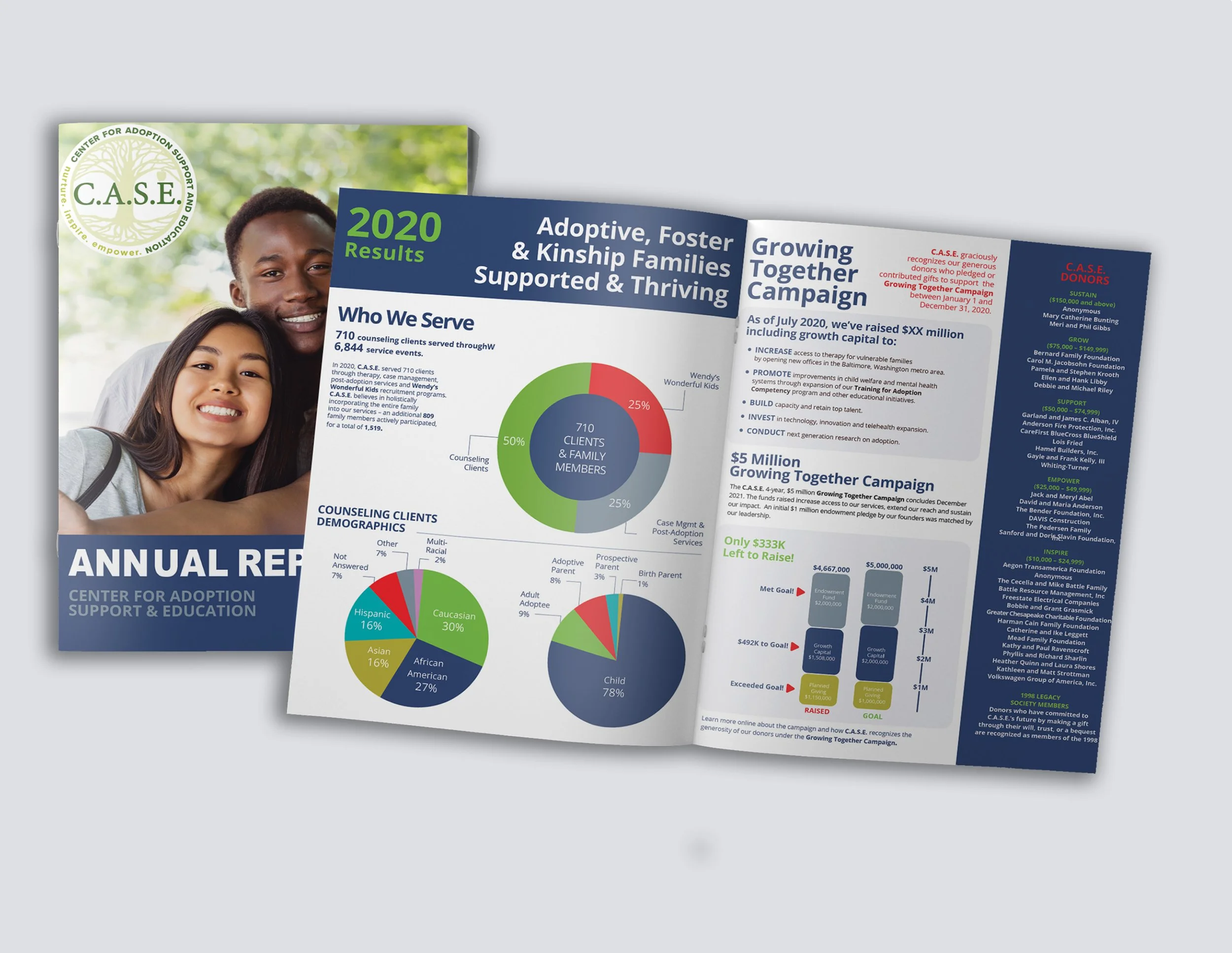 Mock Case Annual Report.jpg