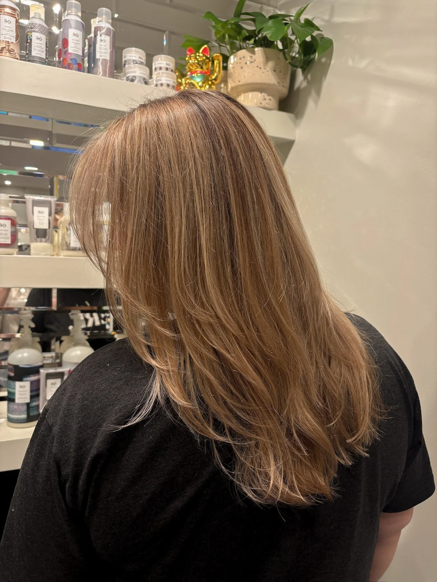 a moment for this transformation 😍
&mdash;&mdash;
Euphoria Hair Lounge
📍Greenville, SC

#EuphoriaHairLounge #GreenvilleSalon #HealthyHairCare #VeganHaircare #colorcorrecting #greenvillehairstylist