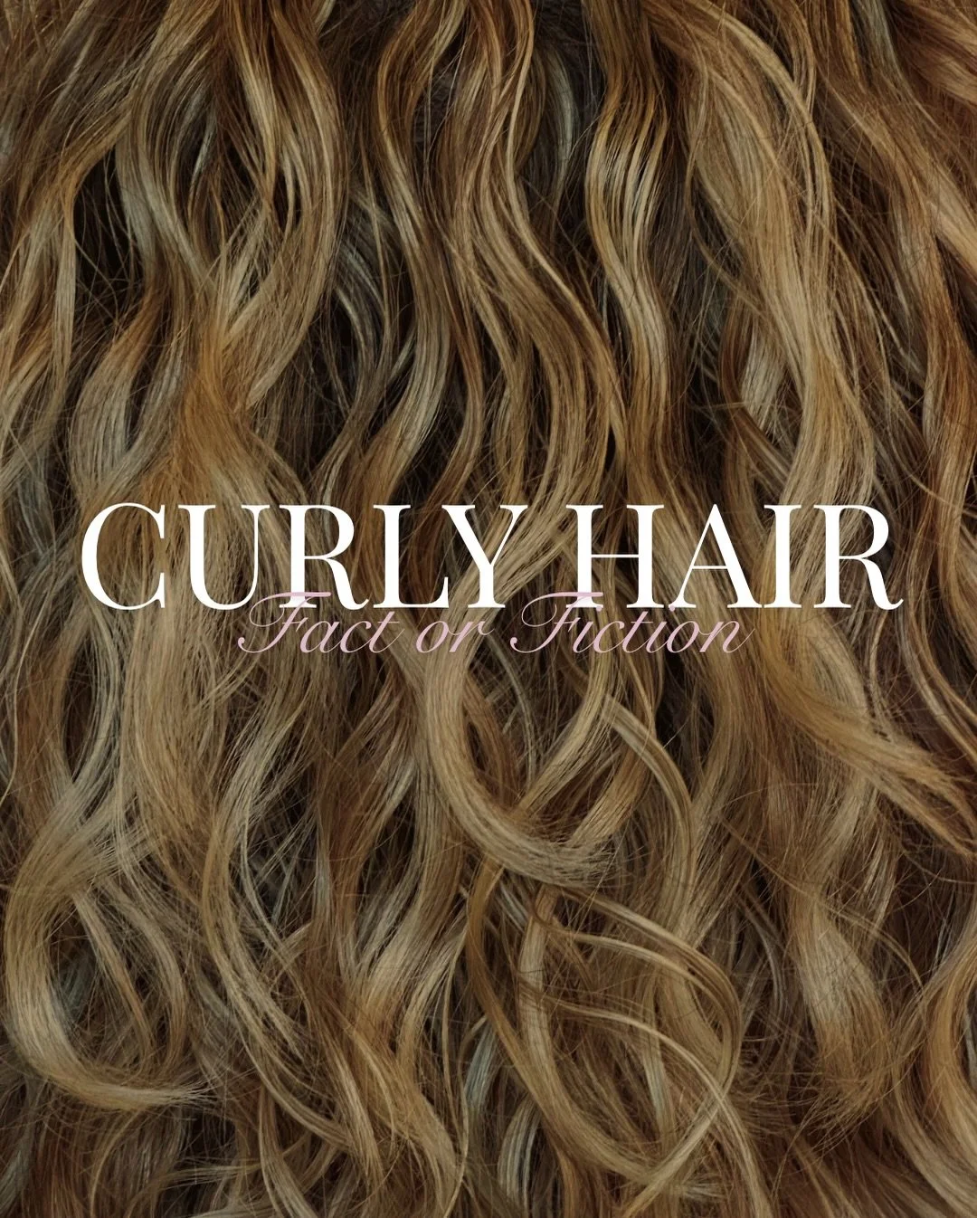 welcome to curly hair fact or fiction ✨

where we share helpful facts and debunk curly hair myths 
&mdash;&mdash;
Euphoria Hair Lounge
📍Greenville, SC

#EuphoriaHairLounge #GreenvilleSalon #HealthyHairCare #VeganHaircare #curlygirlmethod