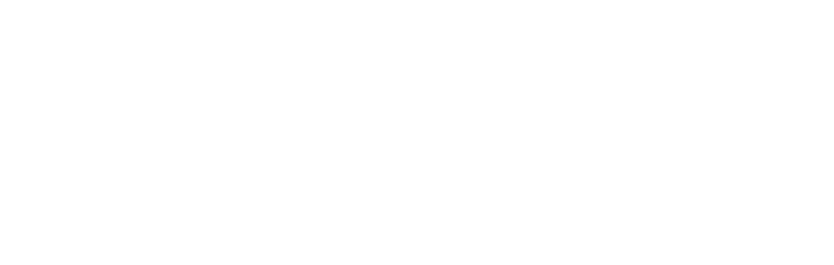 Bold white text on a black background that reads 'REPORTS & AUDITS'.